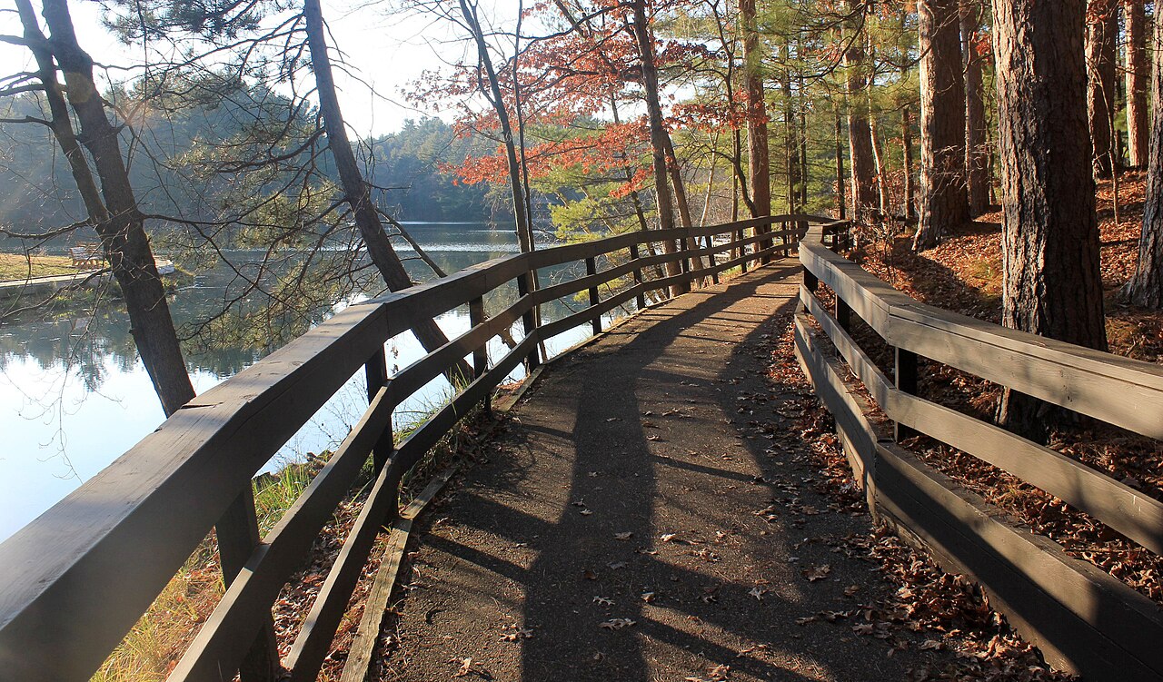 Wikimedia Commons