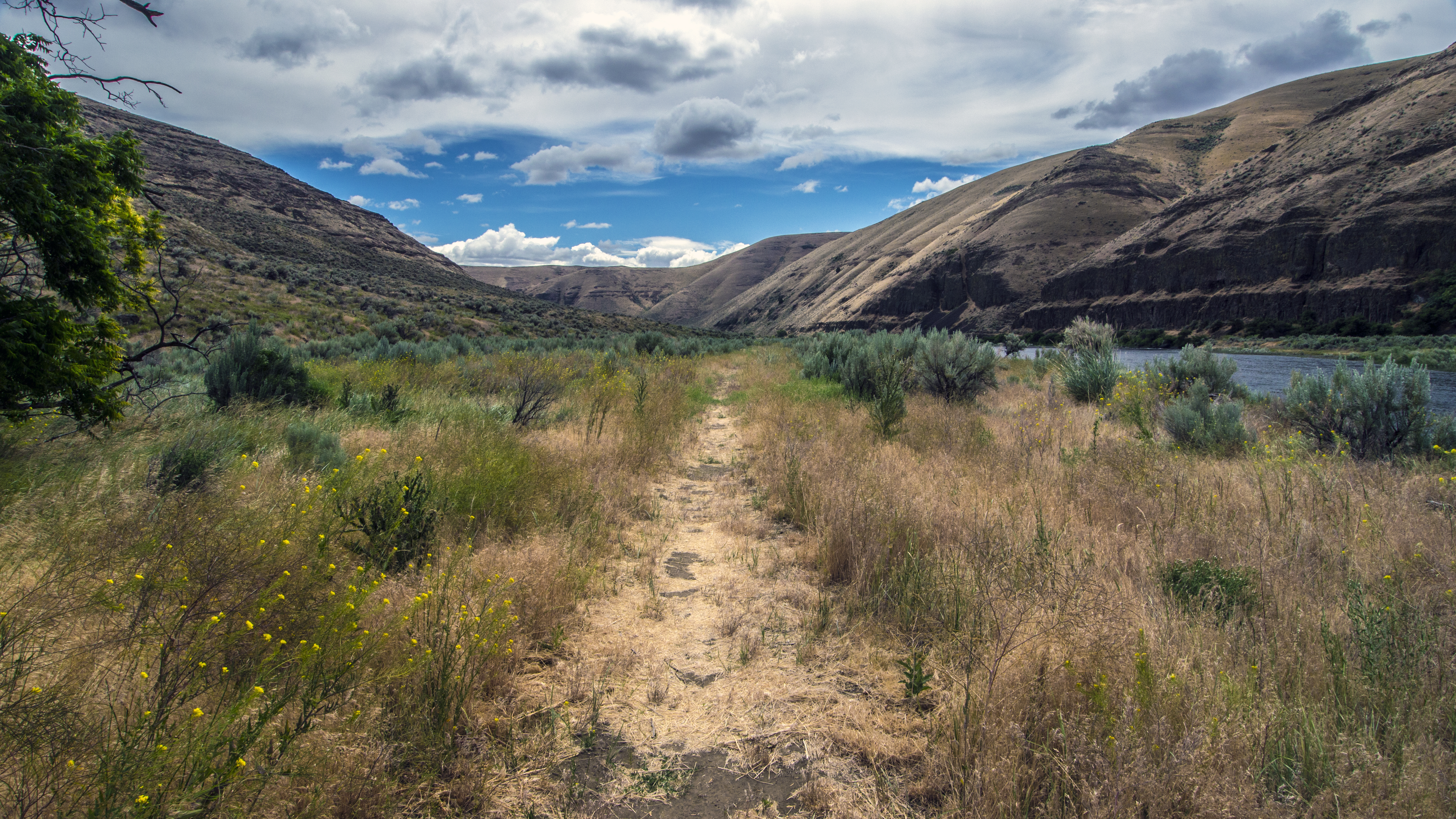 Cottonwood Canyon State Park