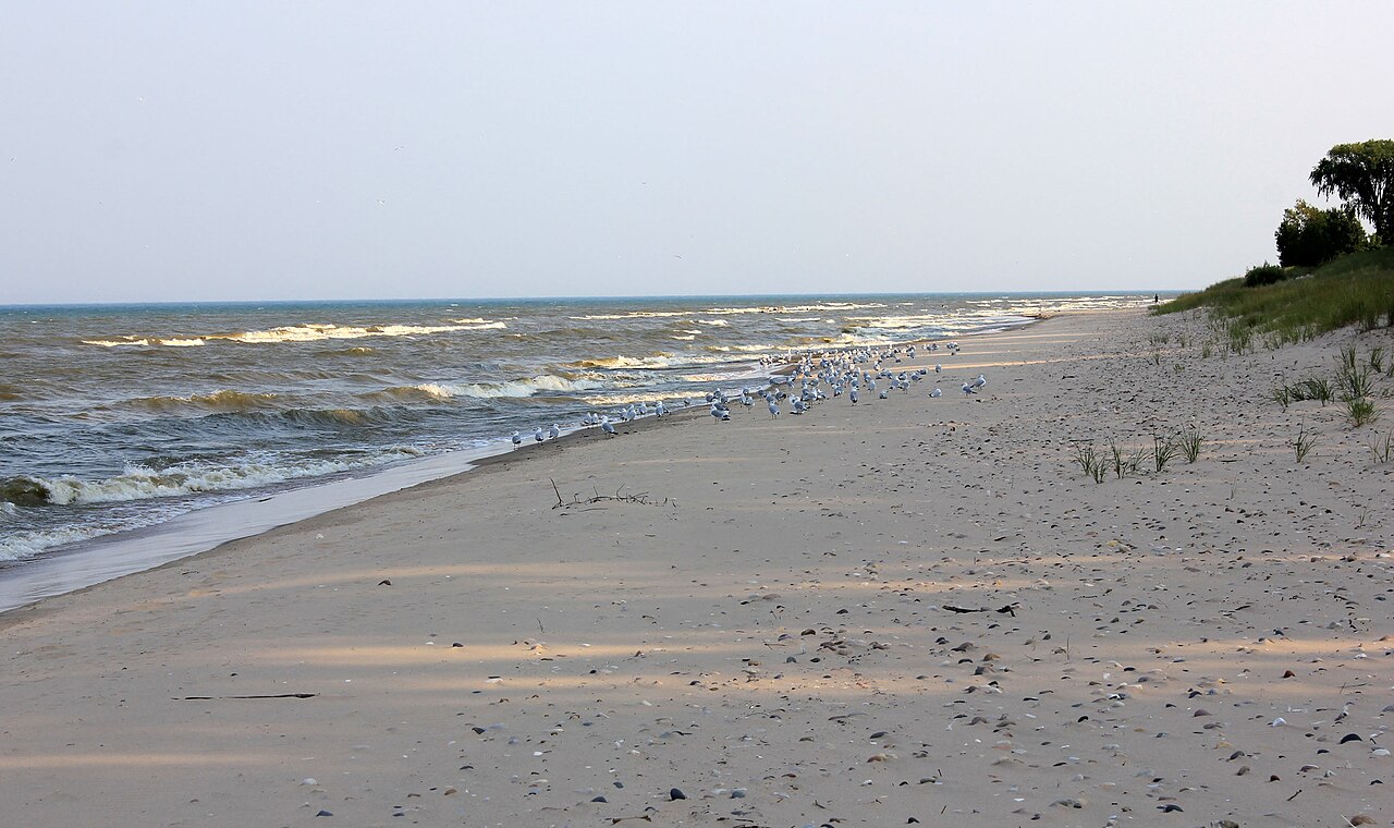 Point Beach State Forest