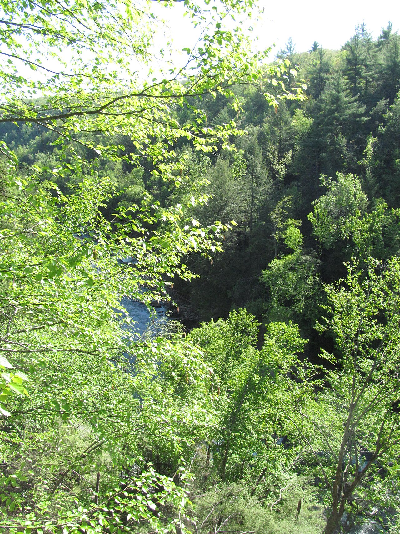 Swallow Falls State Park