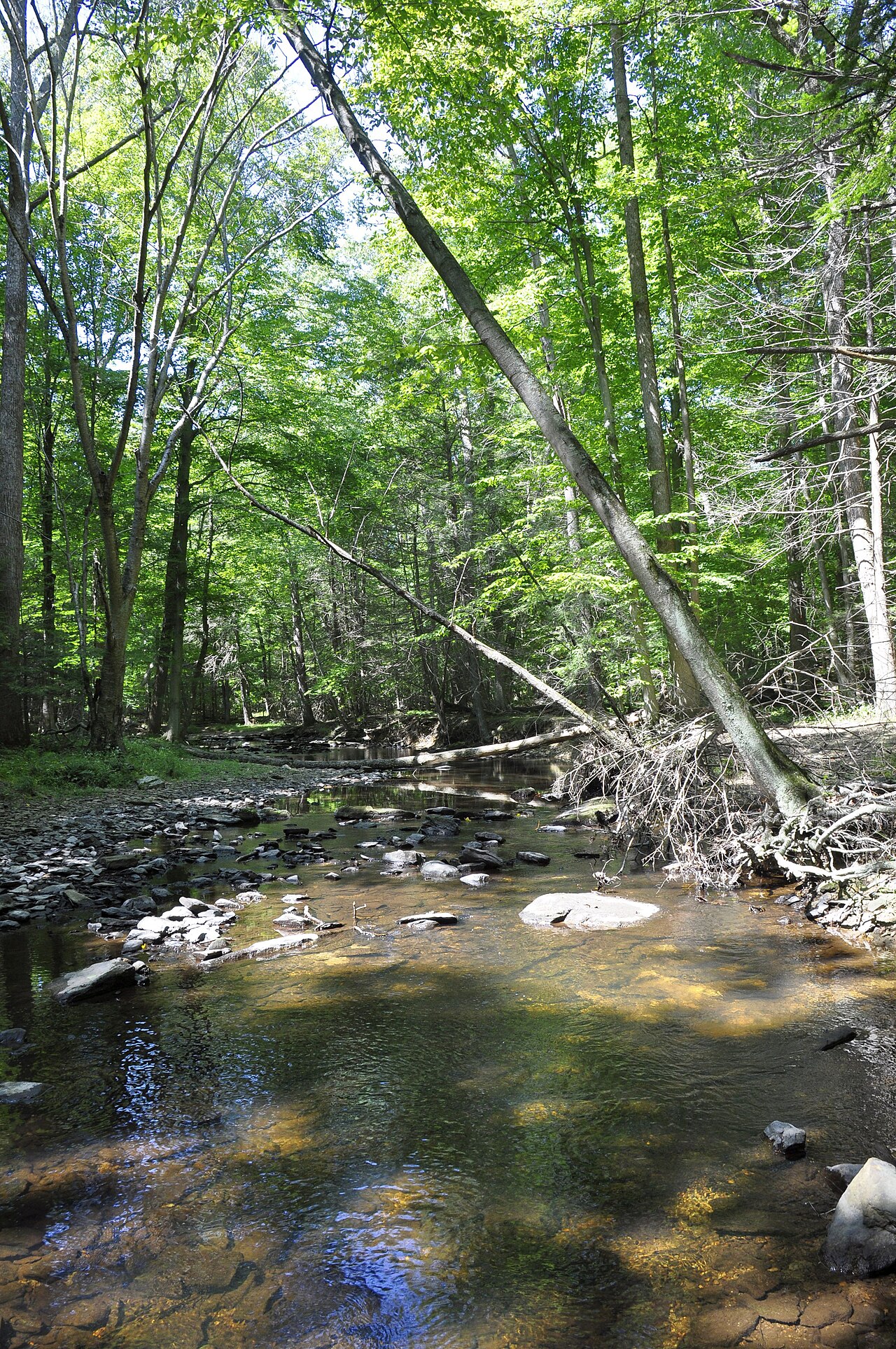 Cunningham Falls State Park