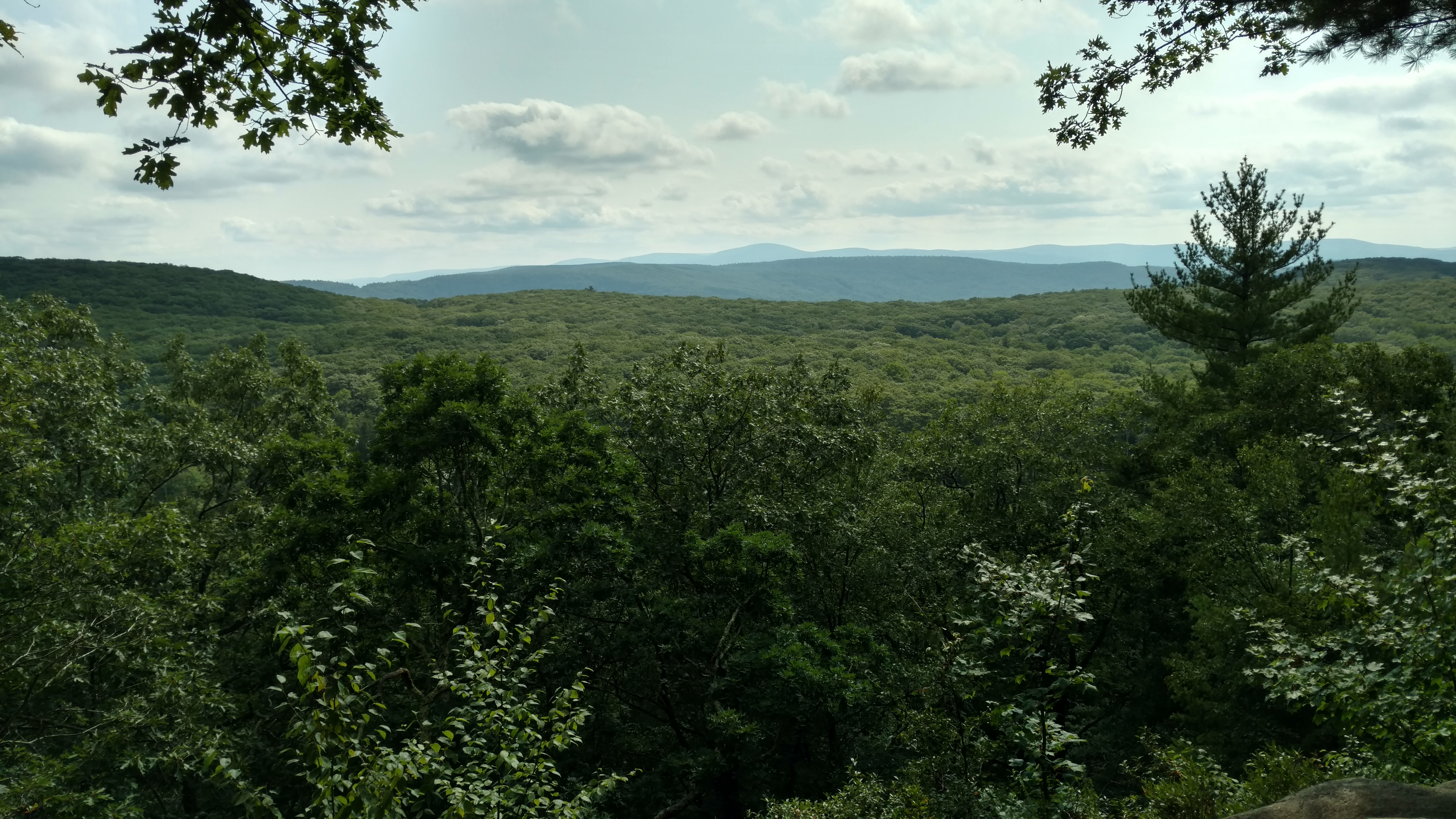 Beartown State Forest