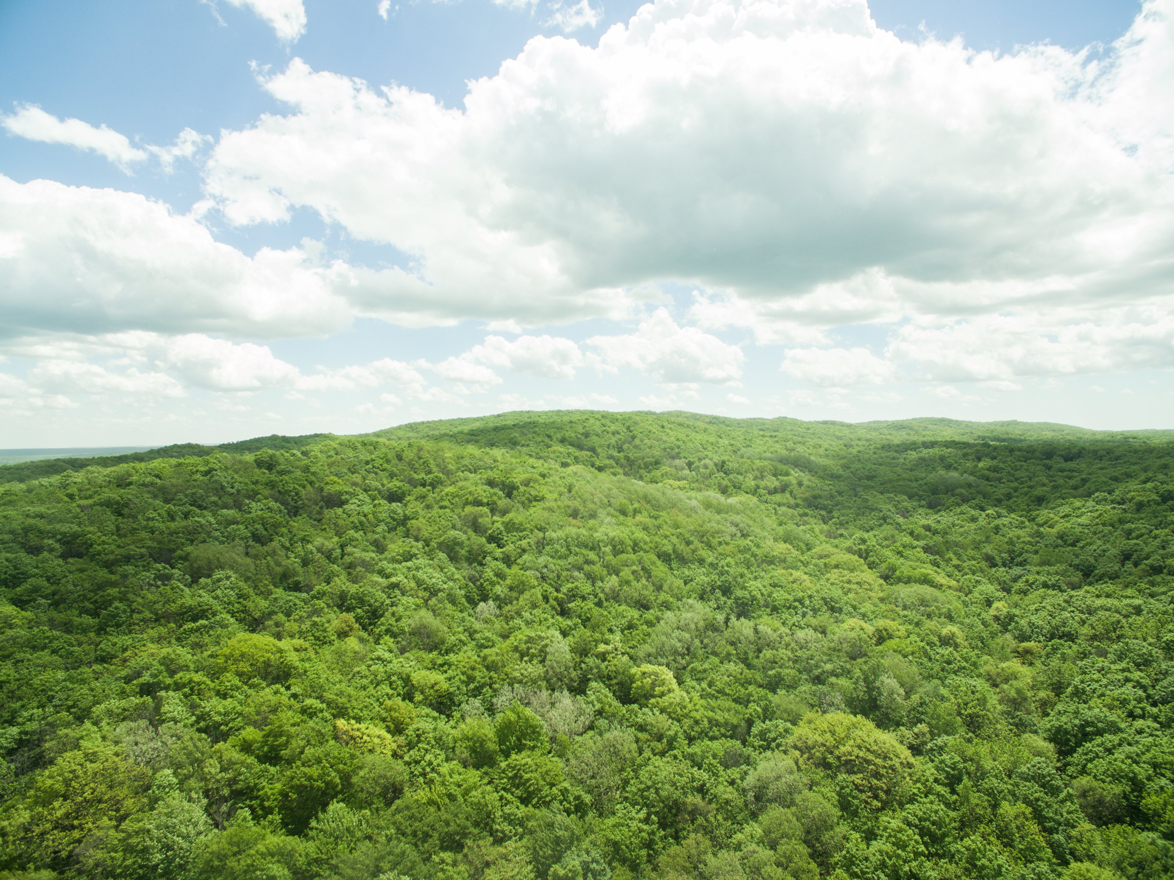 Indian Lake Campground