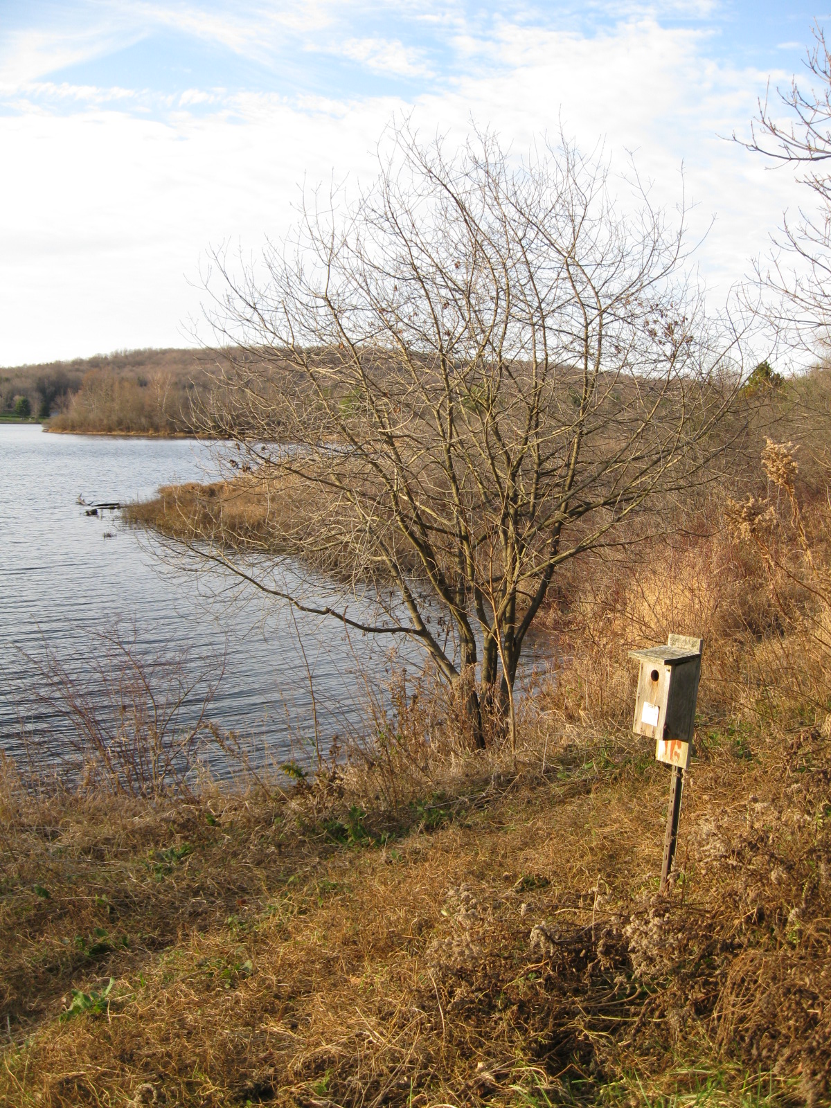 Pinchot State Forest