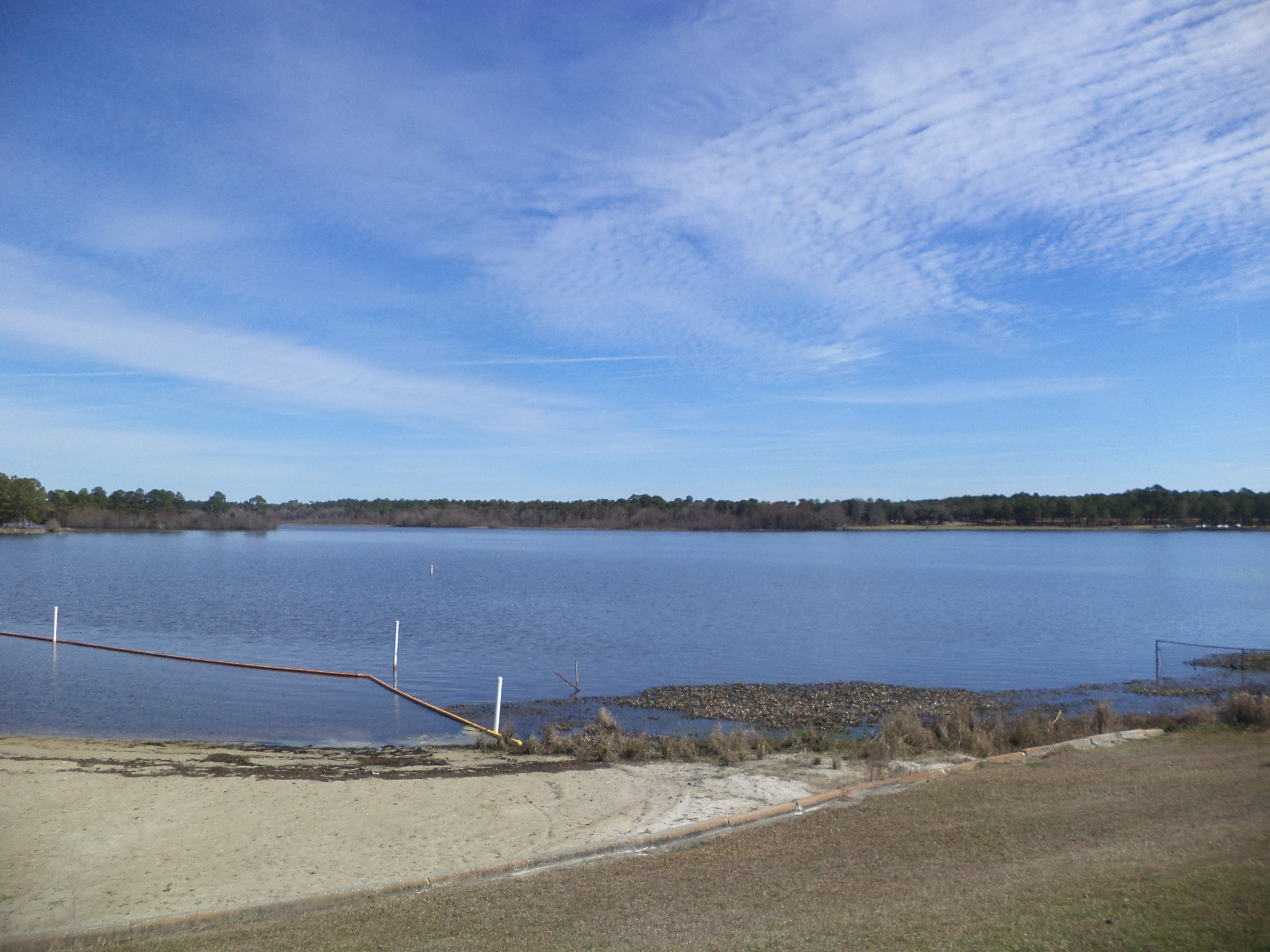 Reed Bingham State Park