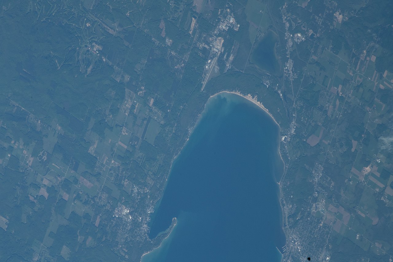 Wikimedia Commons