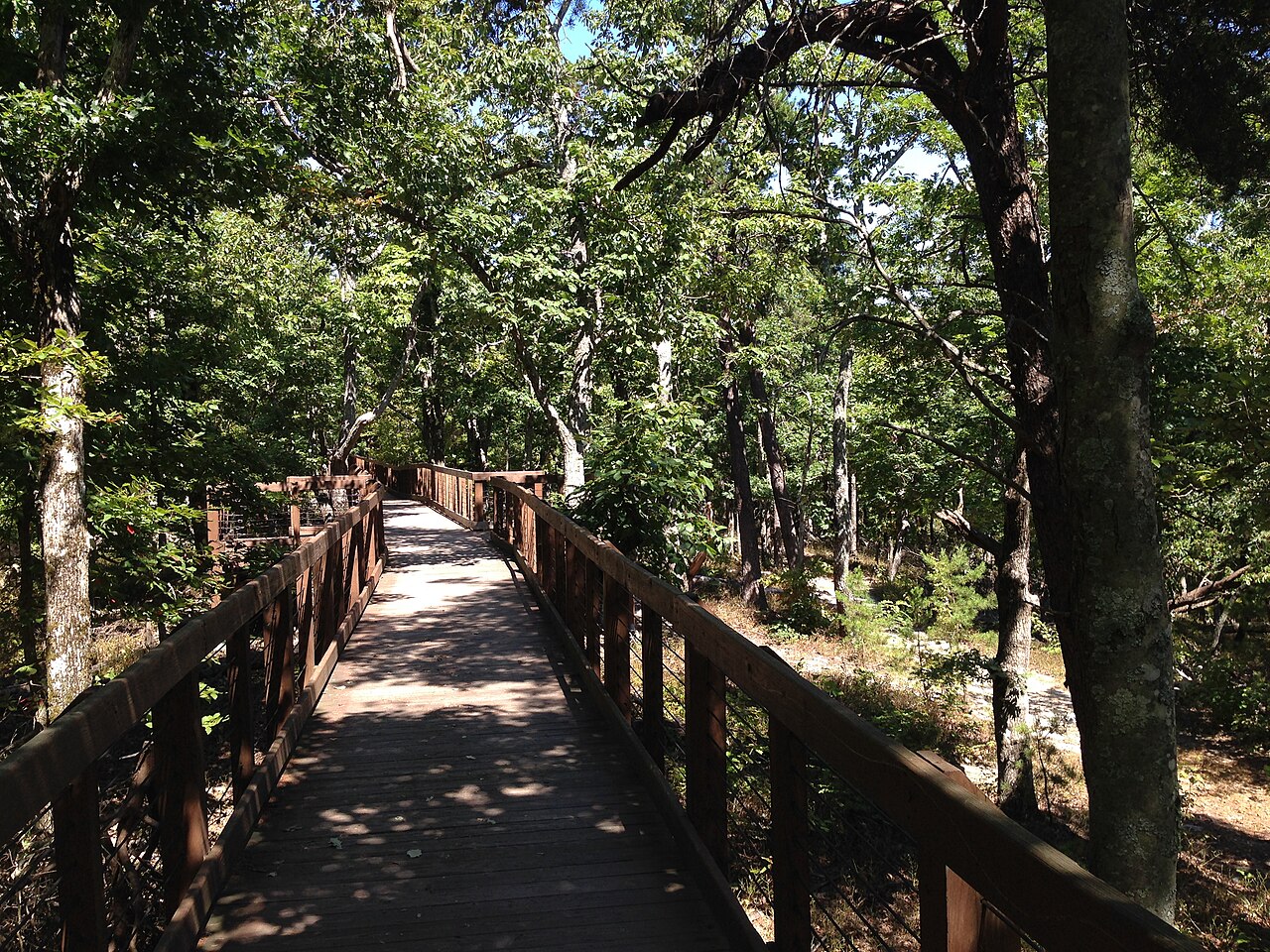Cheaha State Park