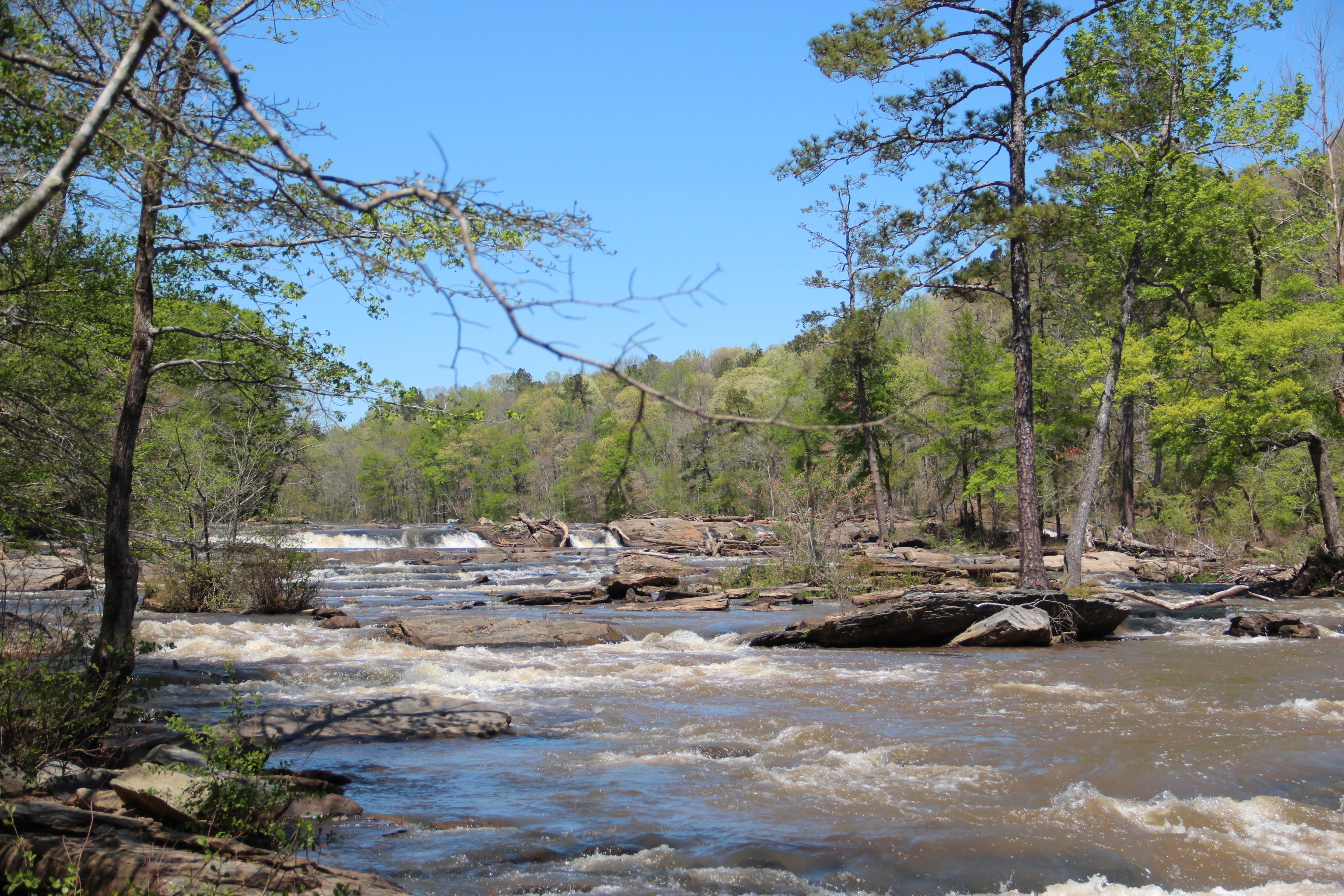 Sweetwater Creek State Park
