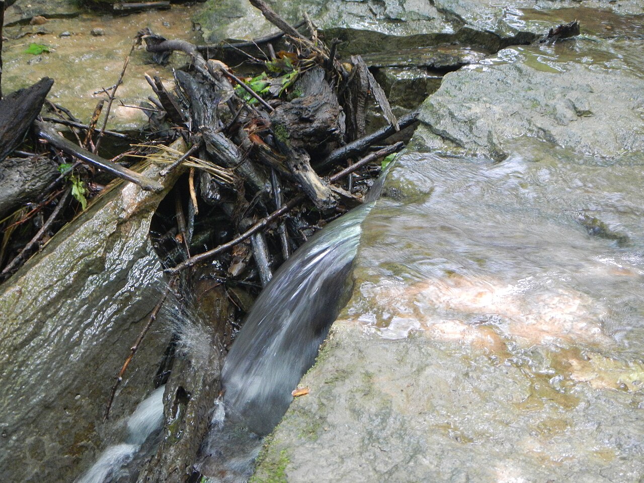 Kickapoo Campground