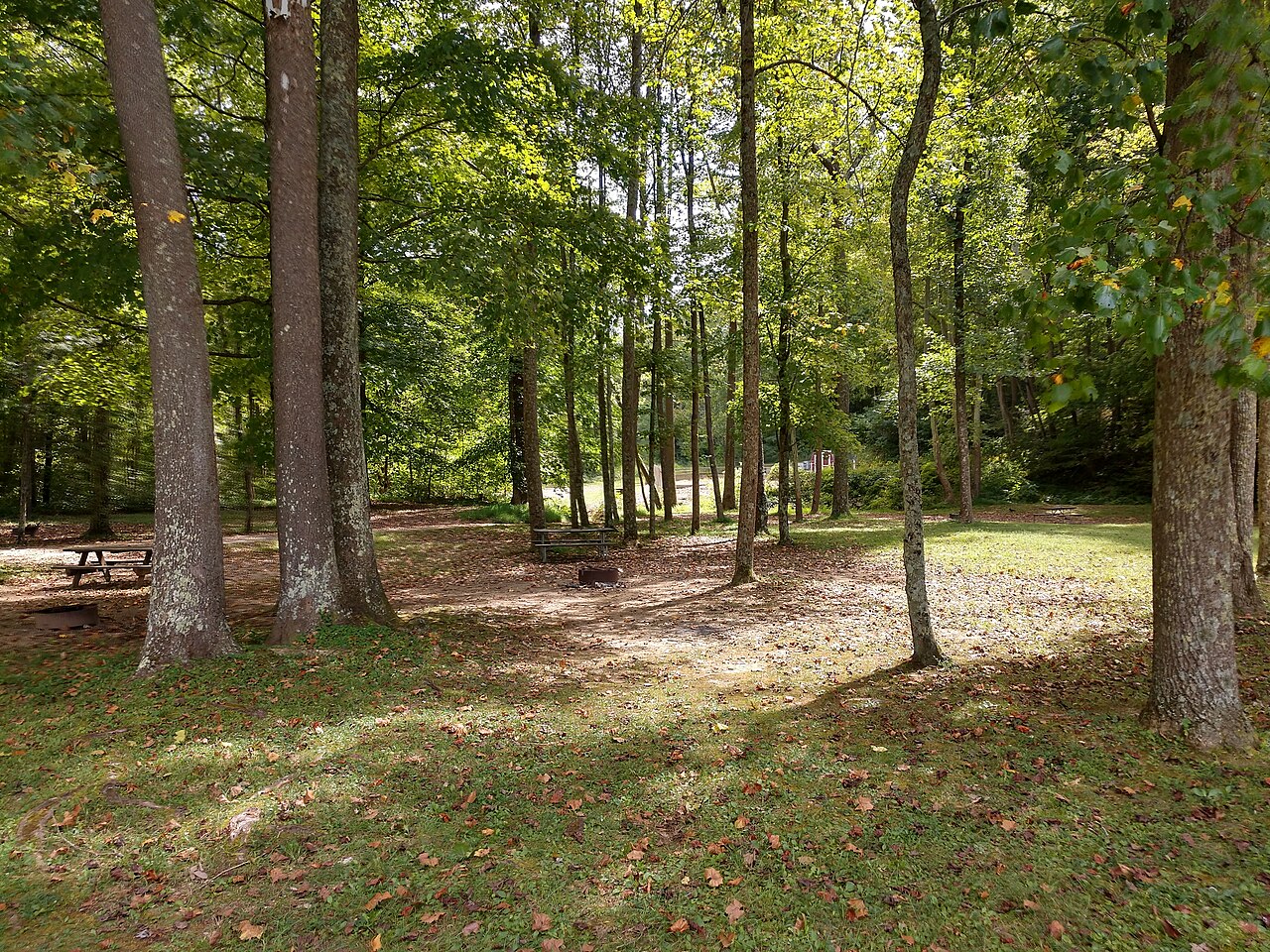 Tar Hollow Campground