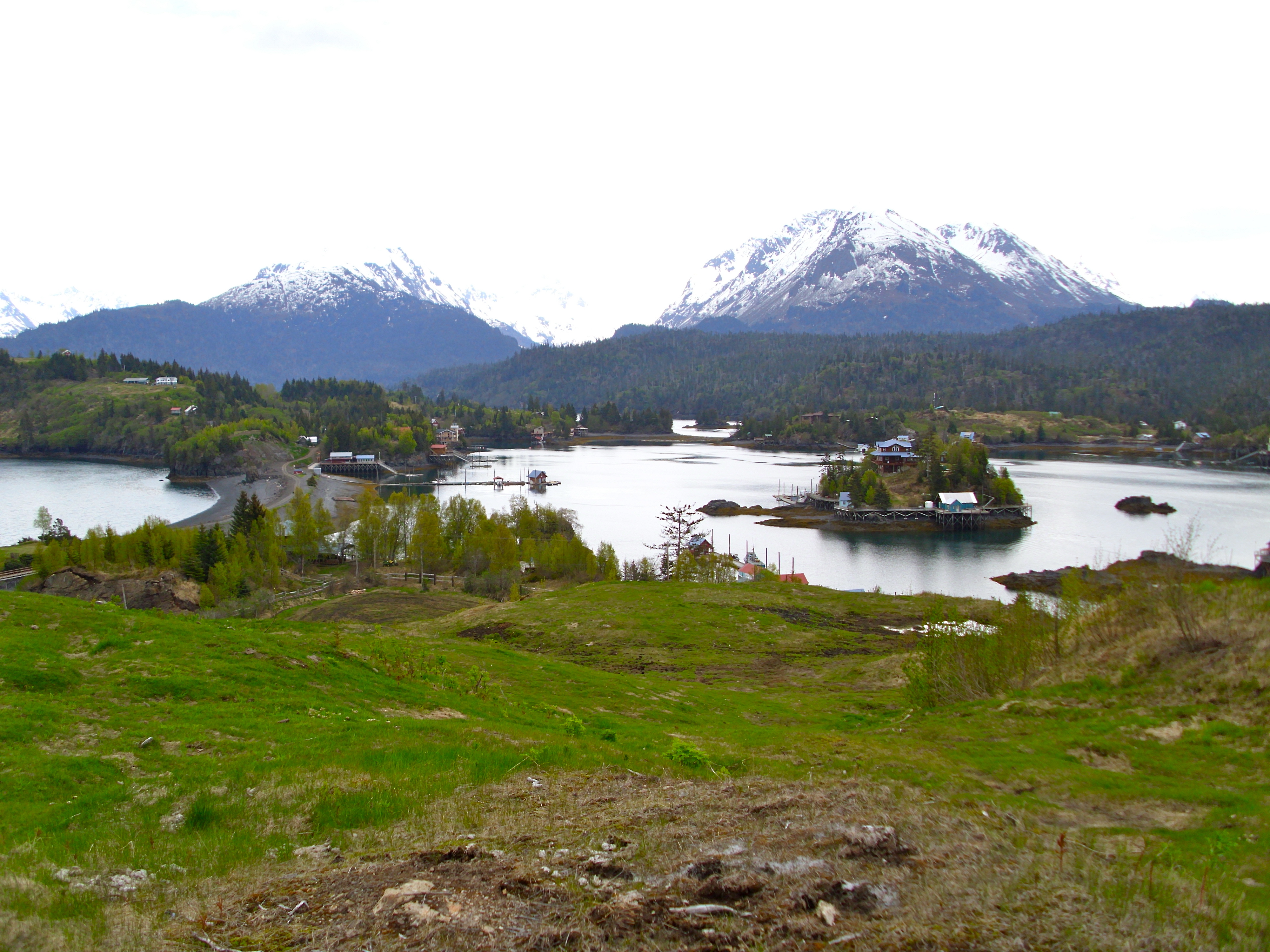 Wikimedia Commons