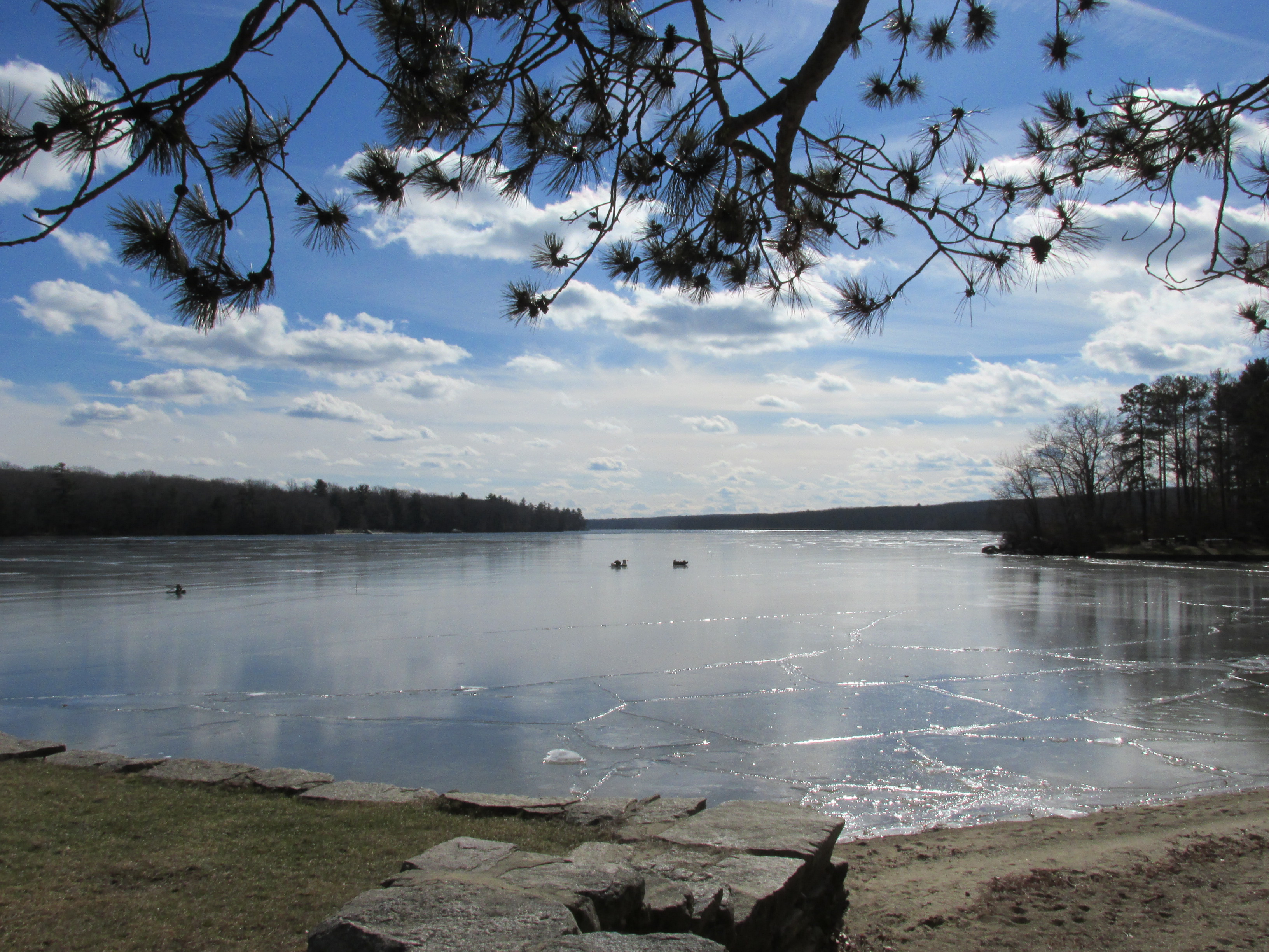 Douglas State Forest