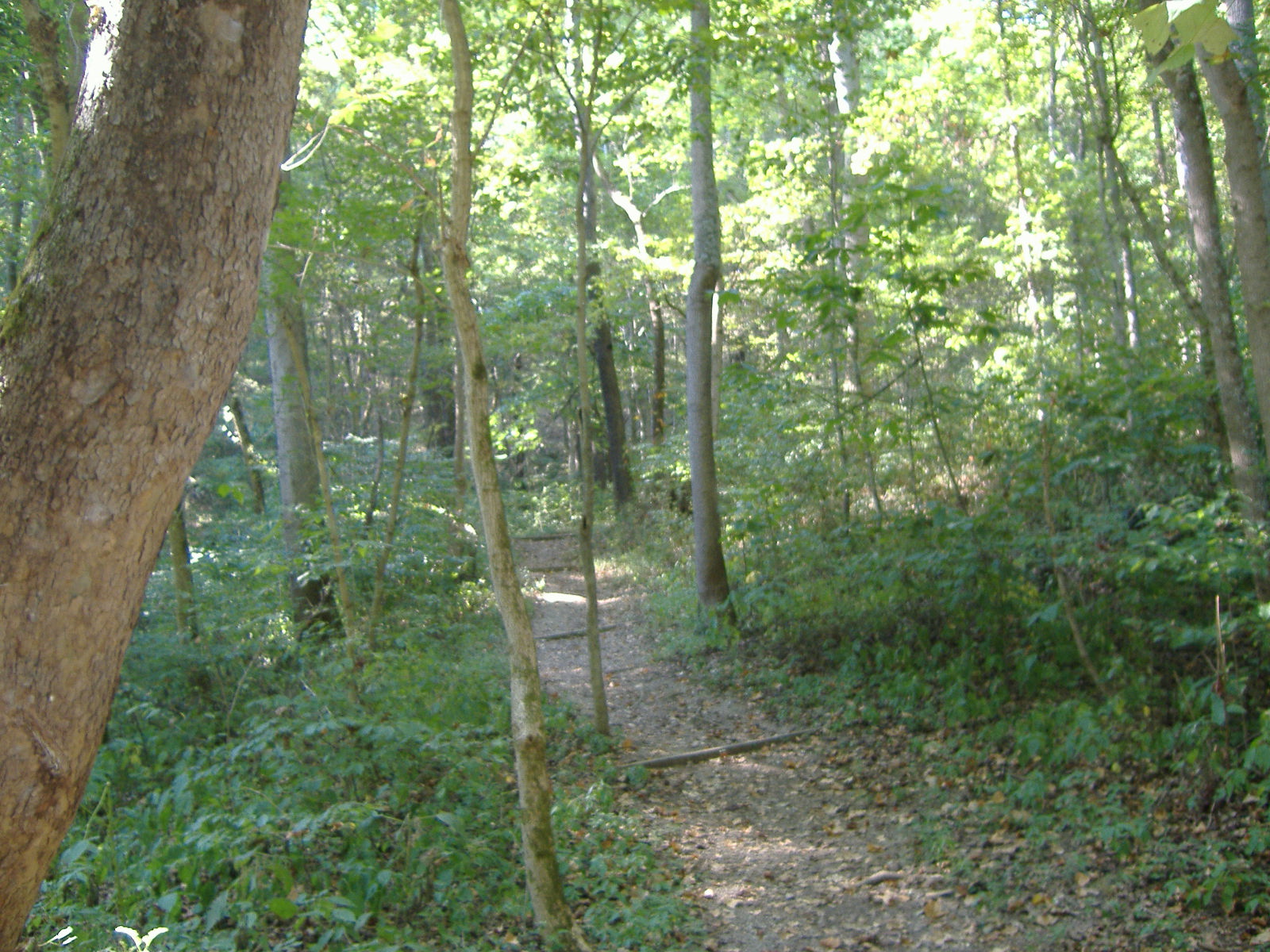Charlestown State Park