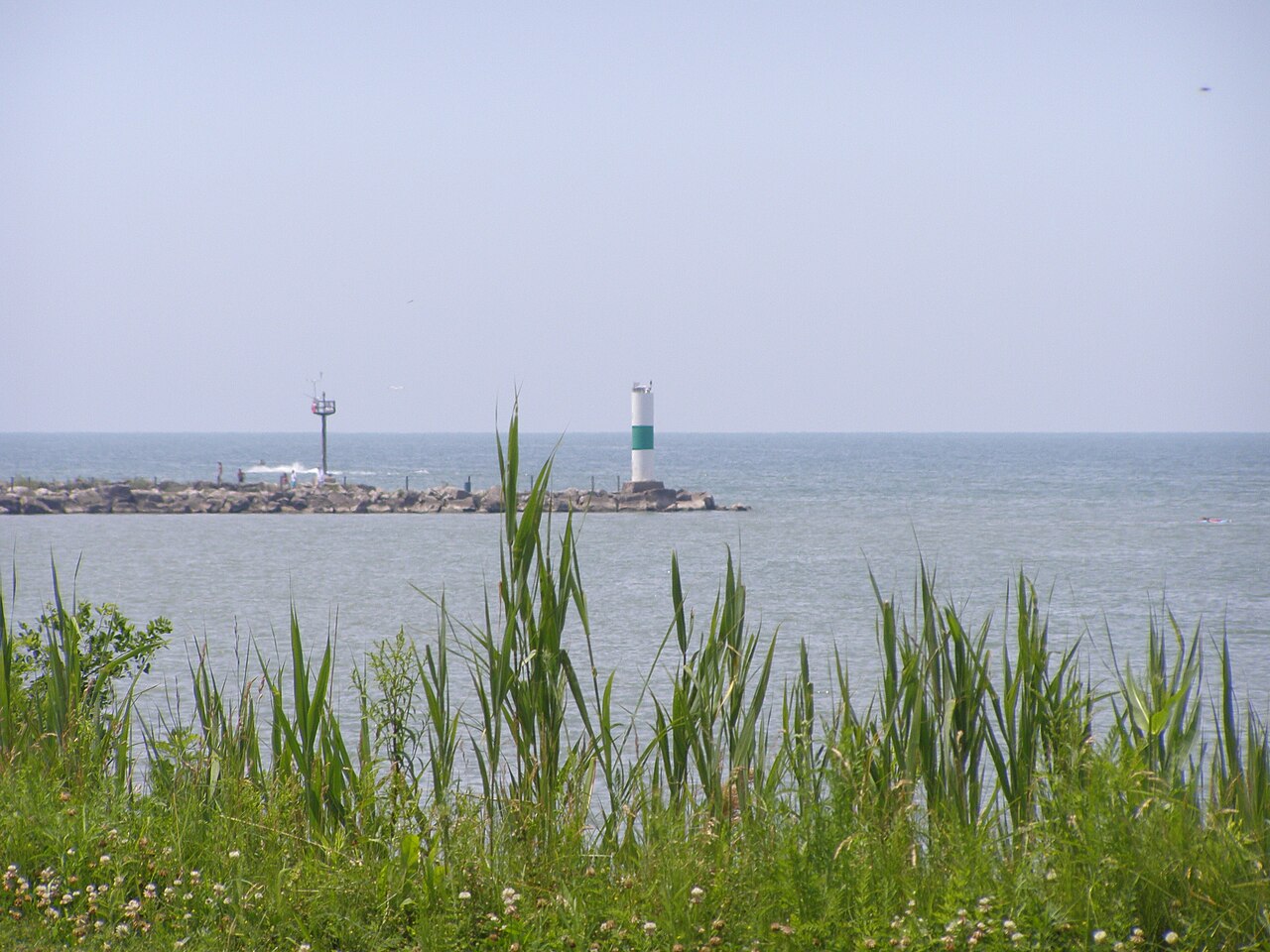 Wikimedia Commons