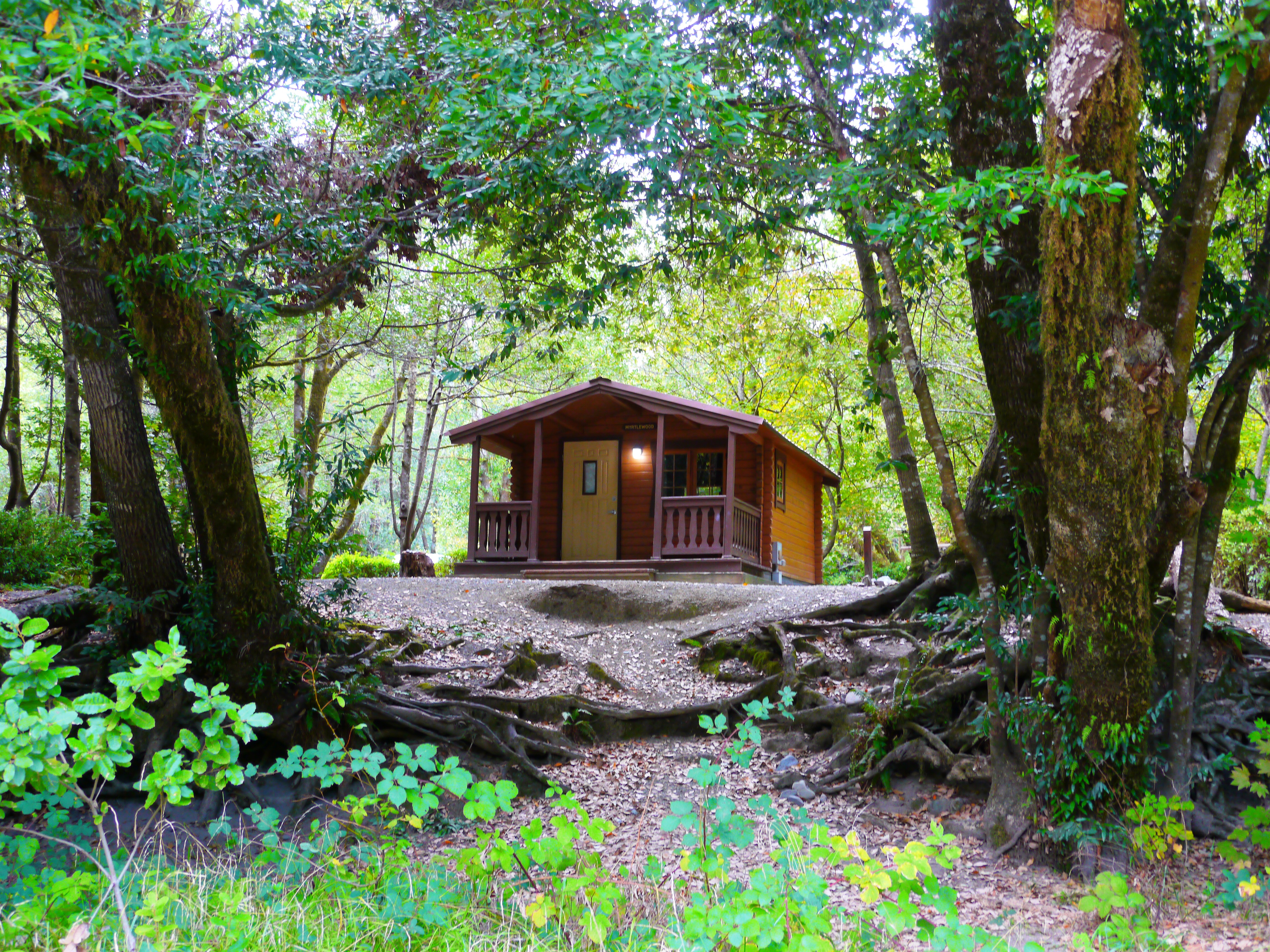 Alfred A. Loeb State Park