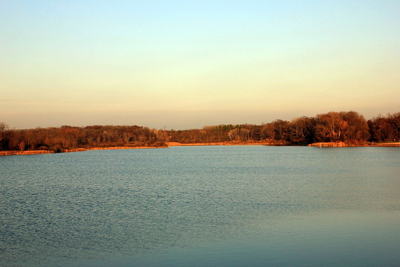 Wikimedia Commons