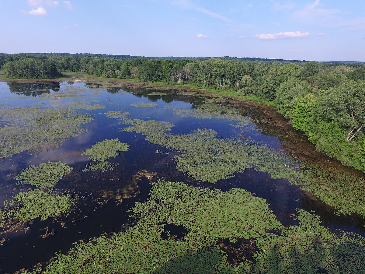 Brighton Murray Lake Campground