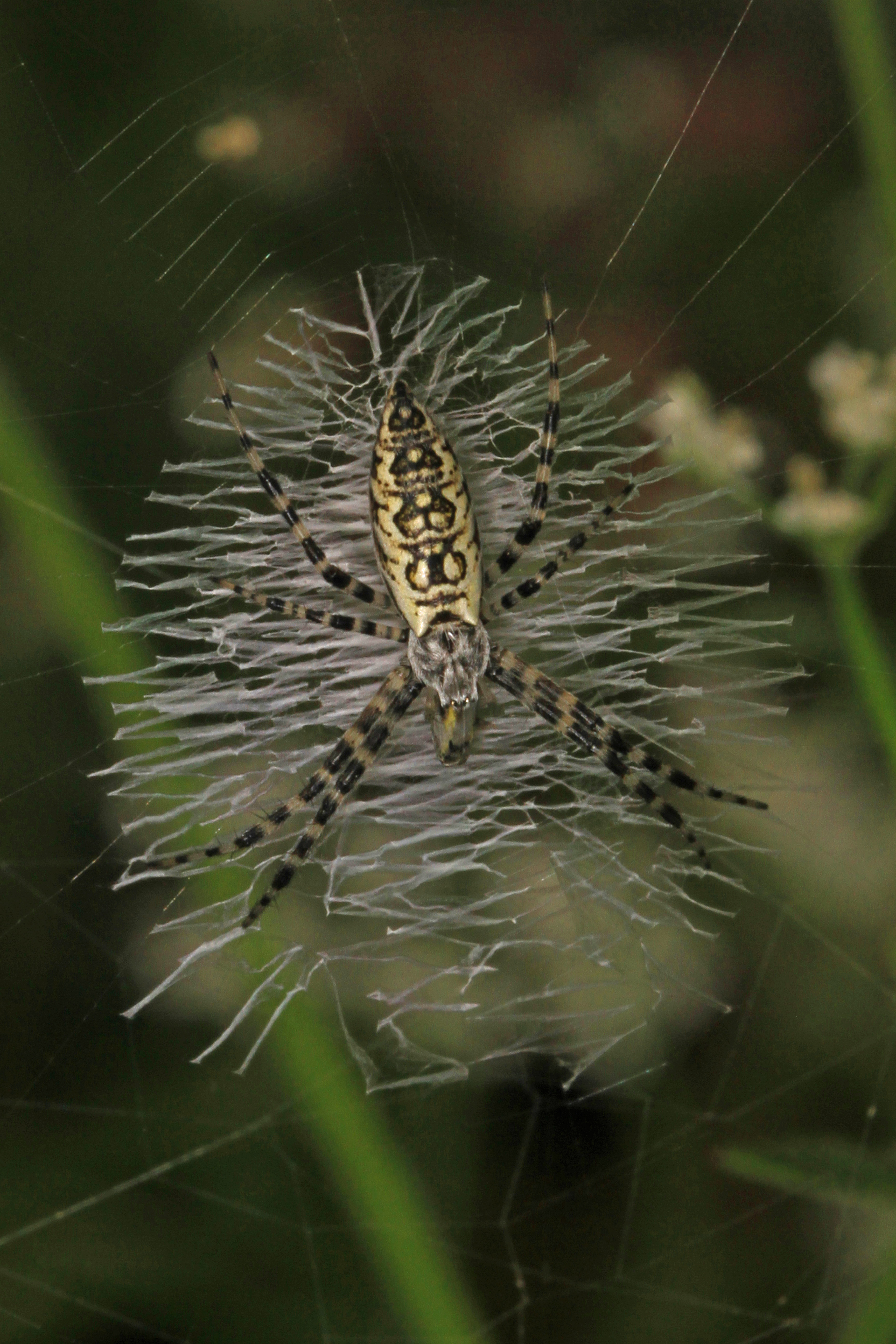 Mckinney Roughs Nature Park