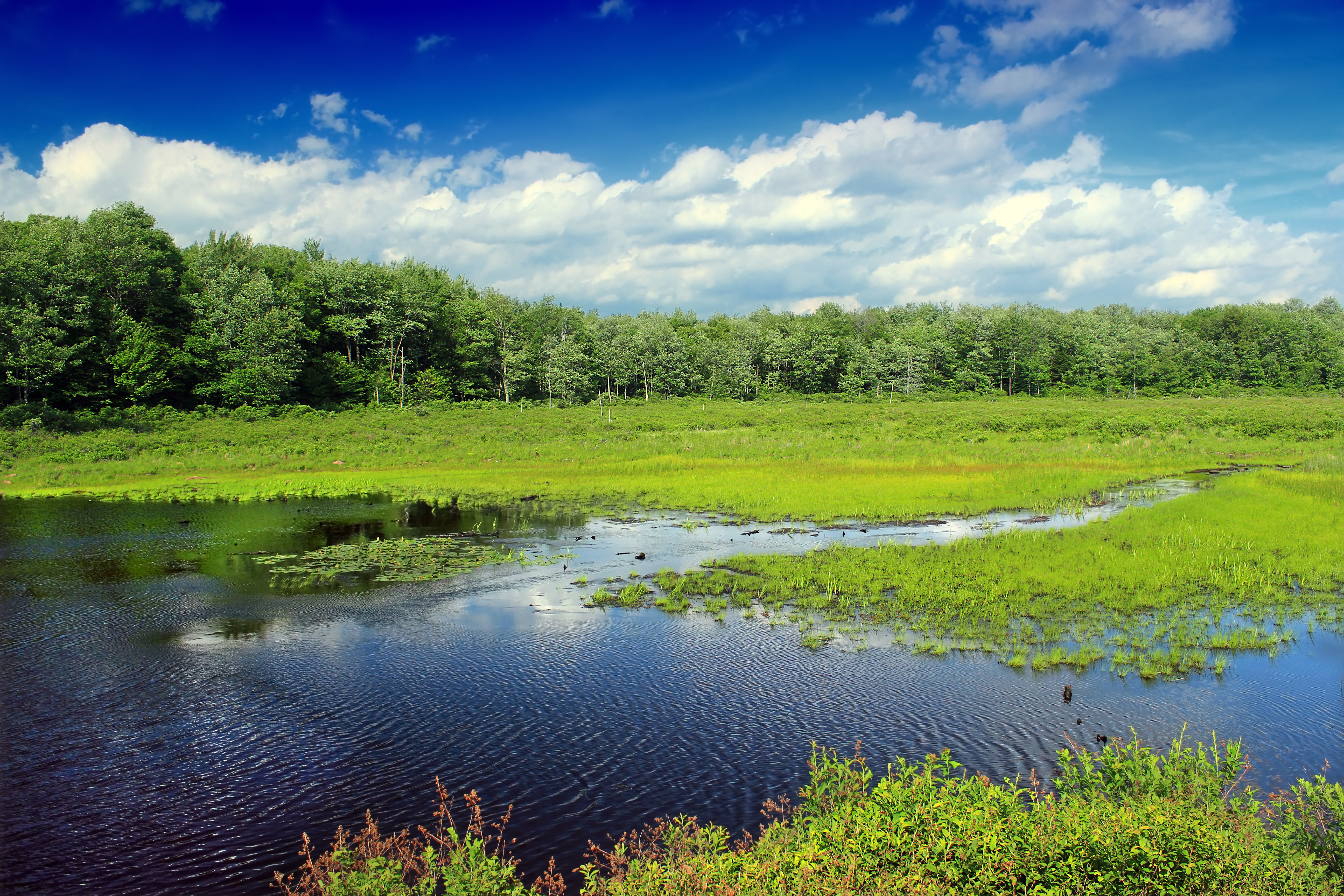Tobyhanna State Park