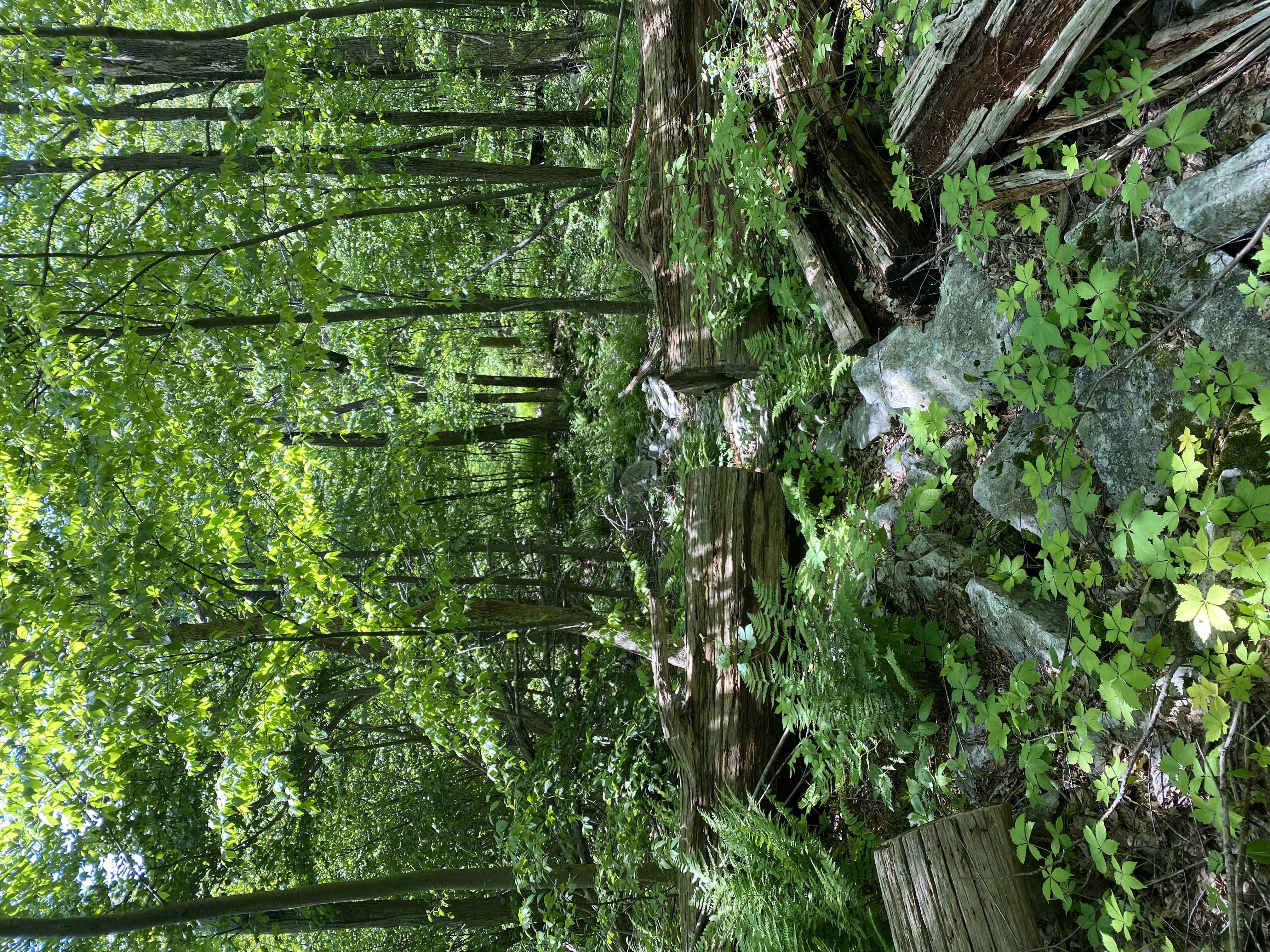 Fowlers Hollow State Park