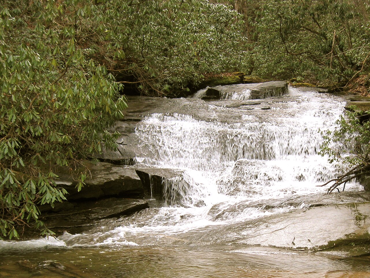 Wikimedia Commons