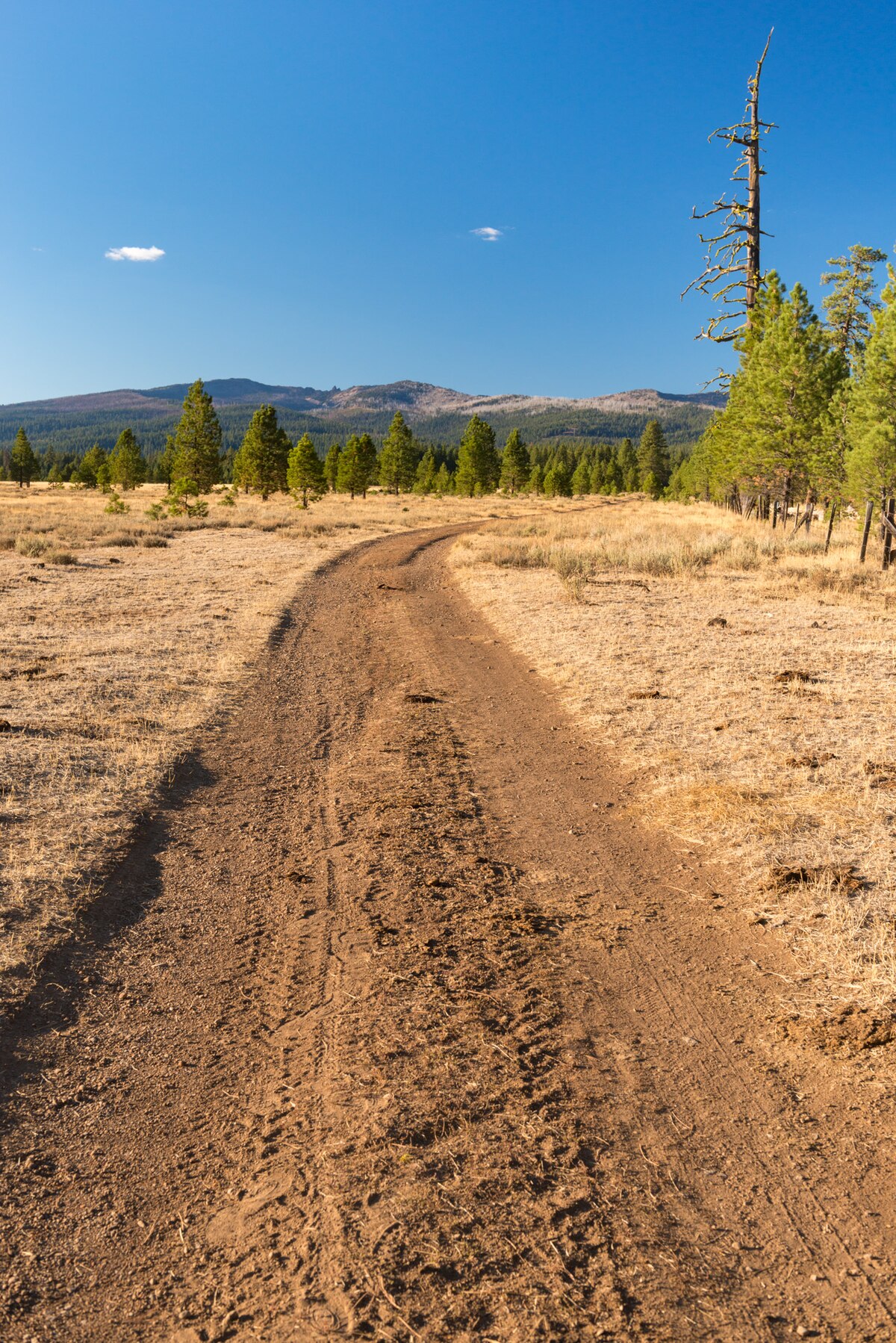 Big Creek Campground