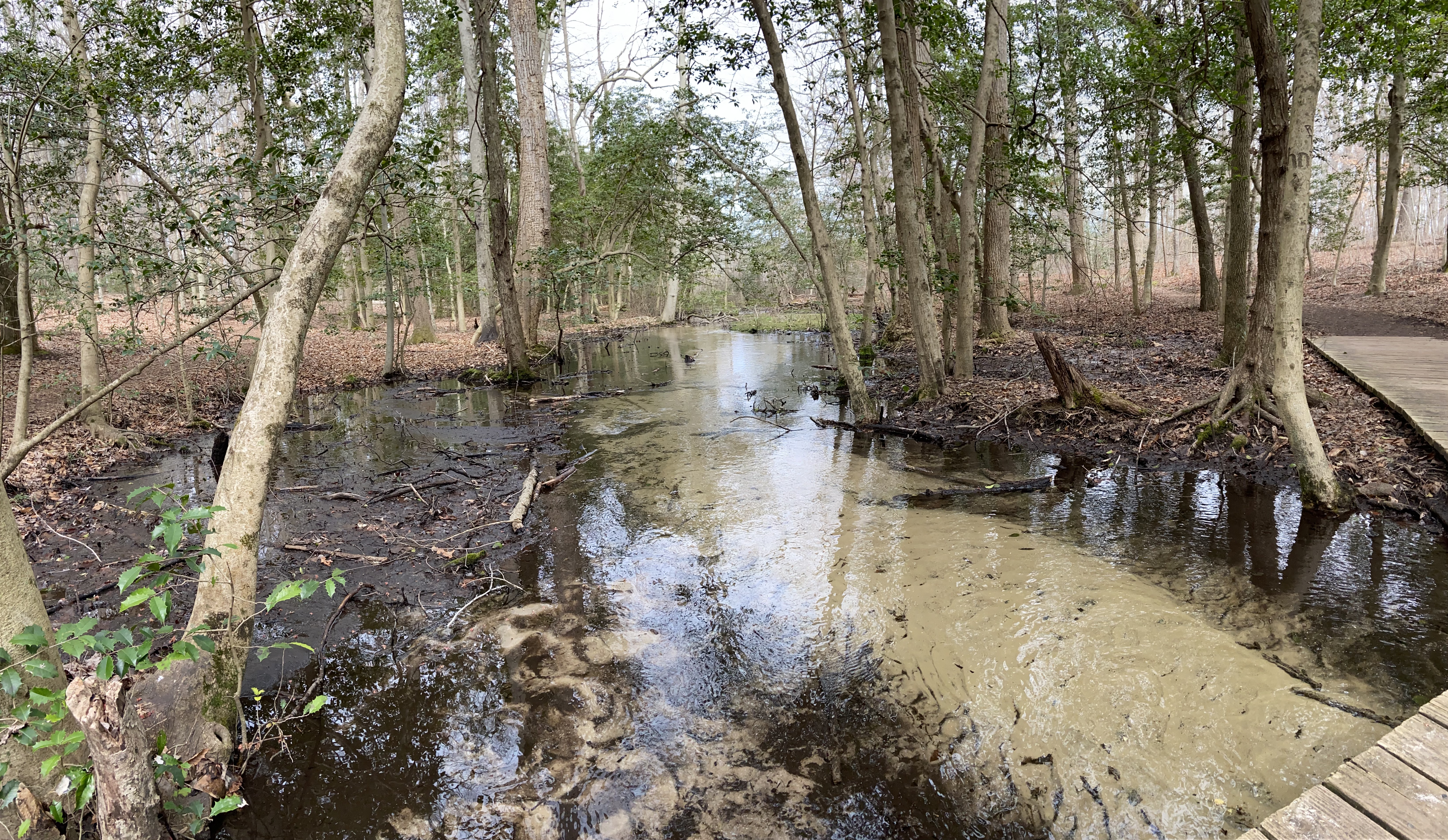 Killens Pond State Park