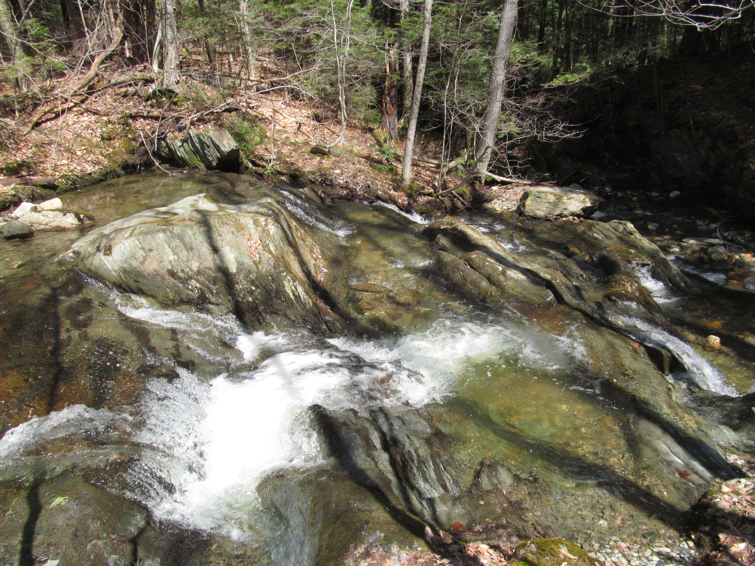 Savoy Mountain State Forest