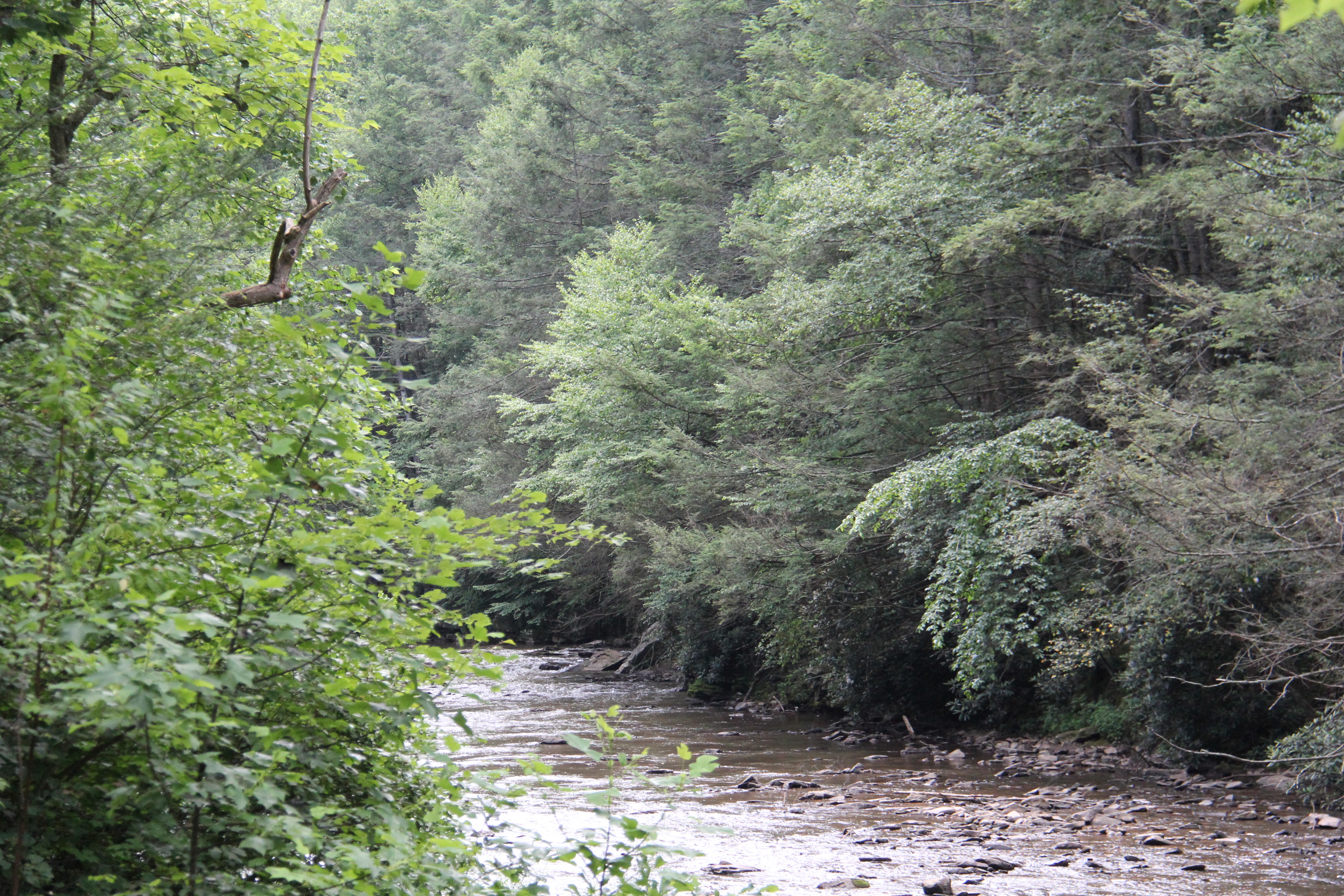 Trough Creek State Park