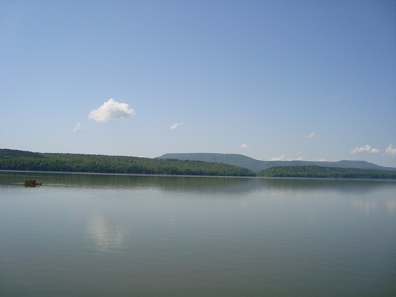 Wikimedia Commons