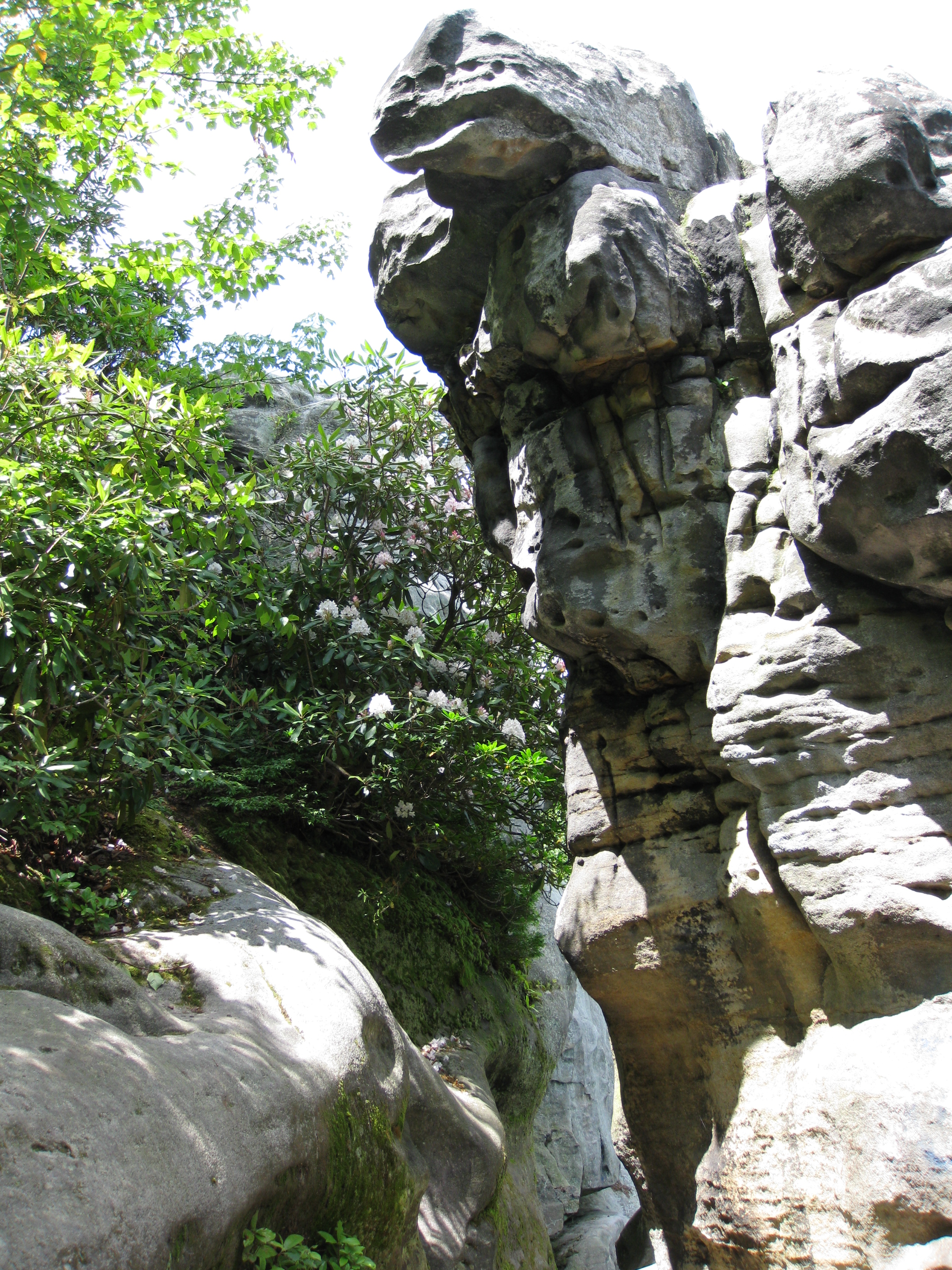 Laurel Summit State Park