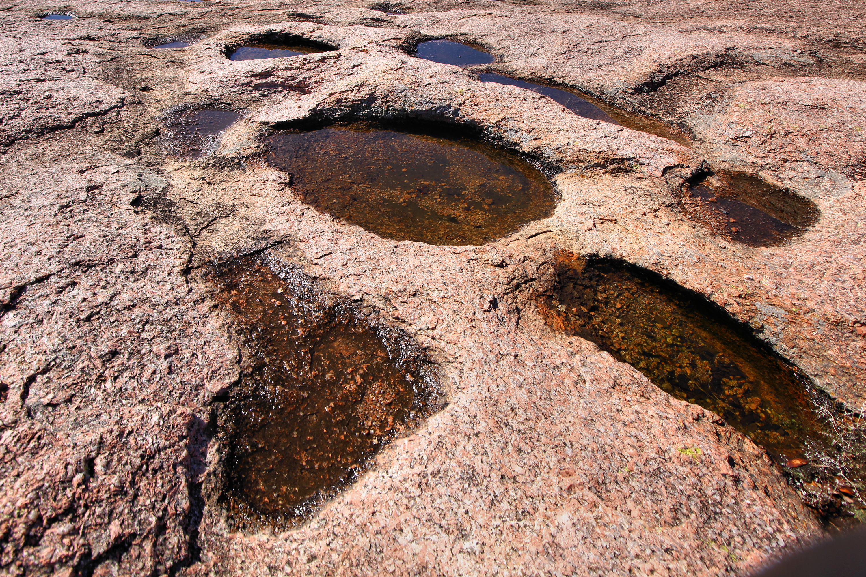 Enchanted Rock State Natural Area