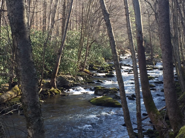 Cades Cove Group Campground