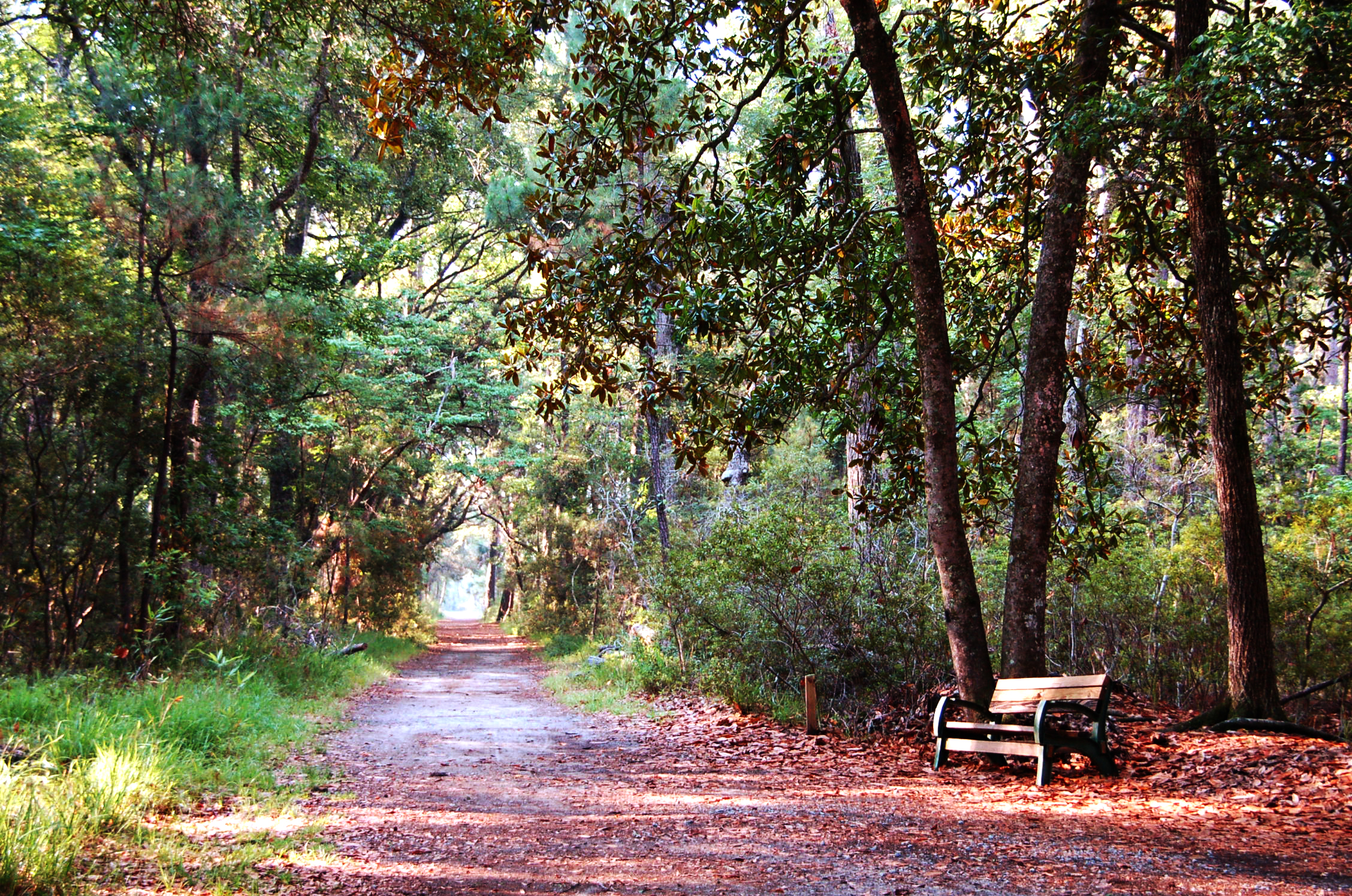Skidaway Island State Park