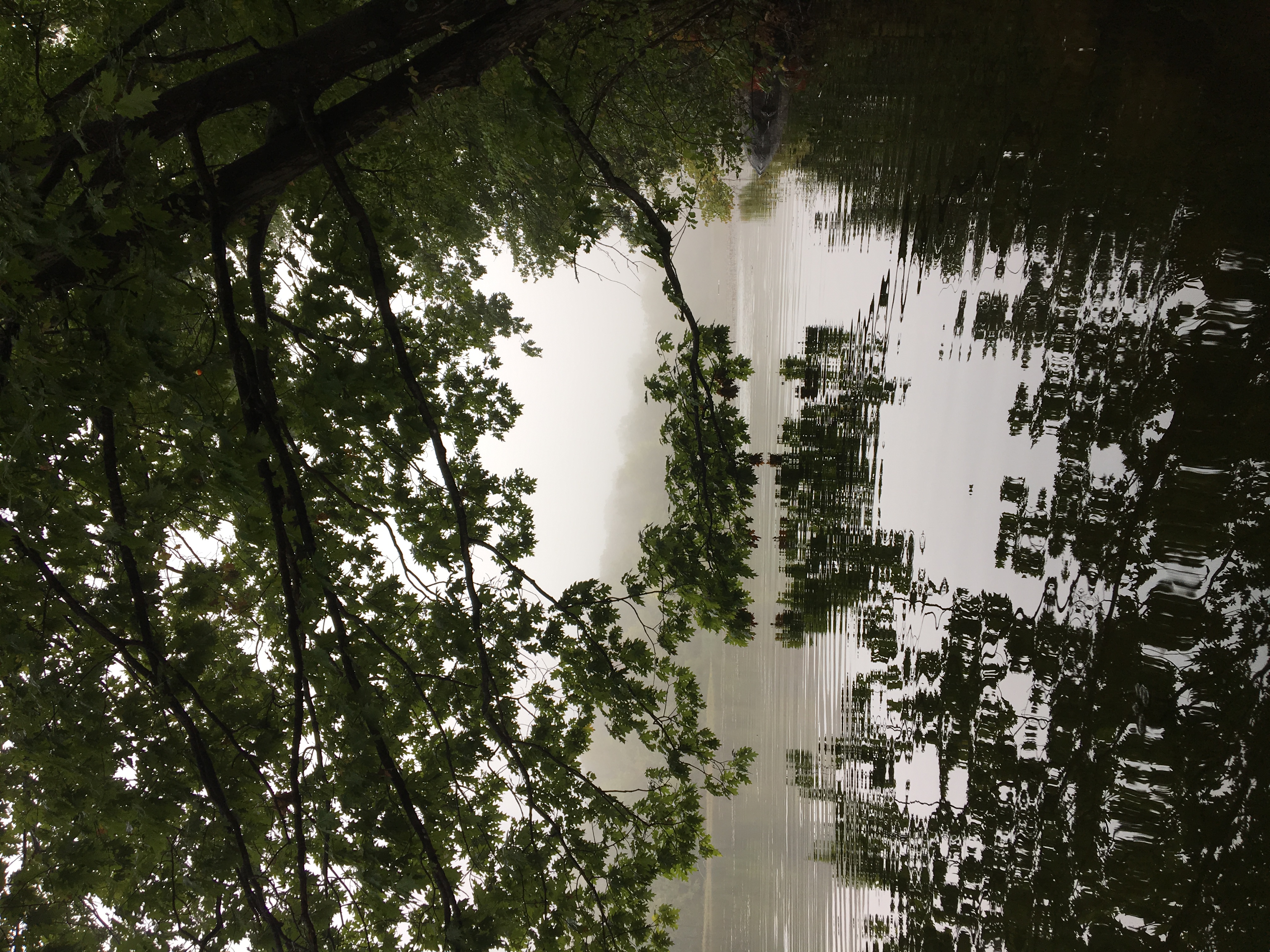 Gifford Pinchot State Park