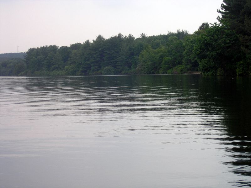 Wikimedia Commons