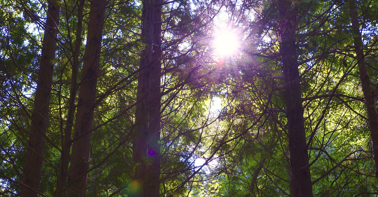 John Bryan Group Campground