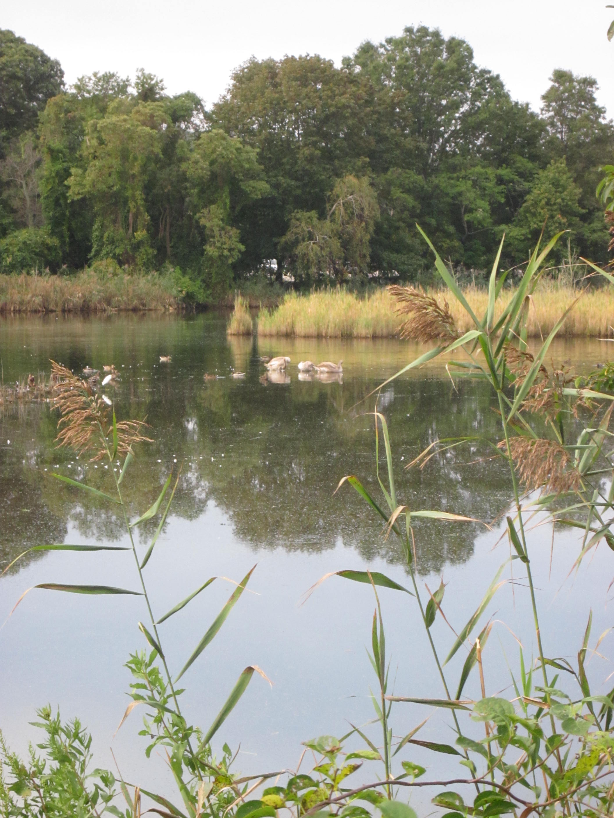 Sunken Meadow State Park