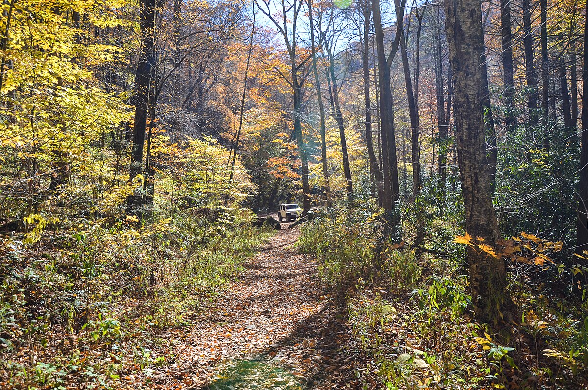 Tallulah River Campground