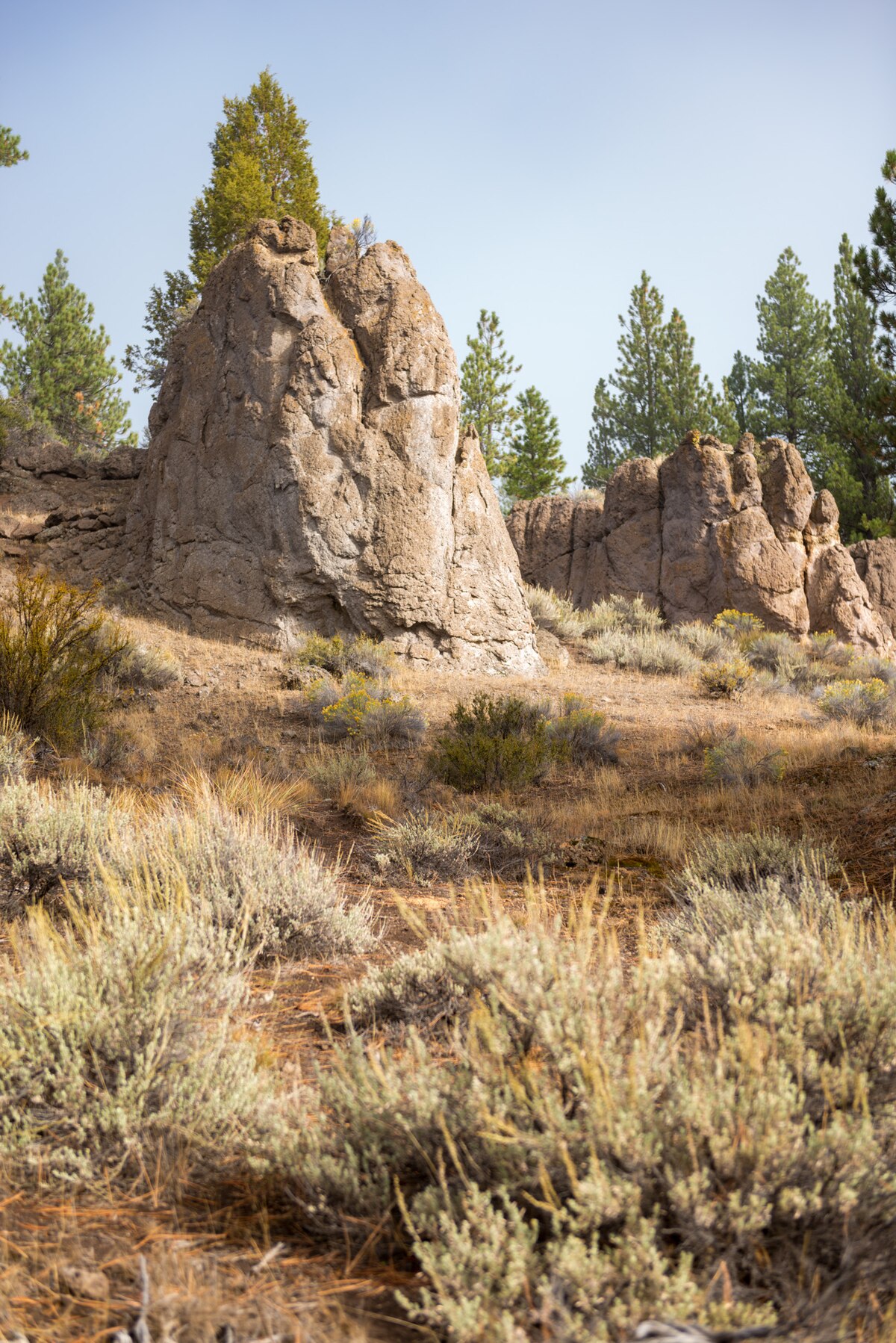 Dairy Point Campground