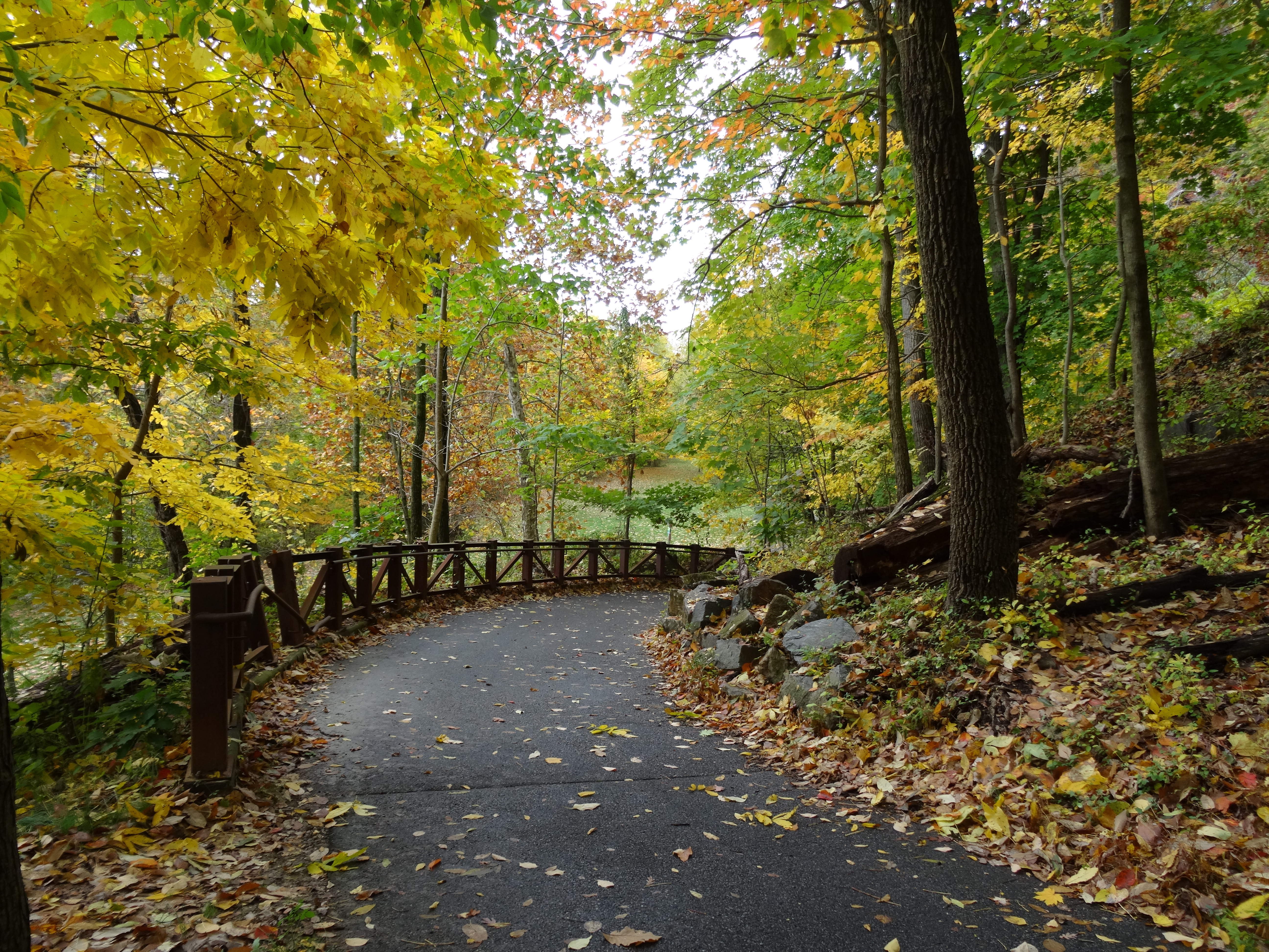 Alapocas Run State Park
