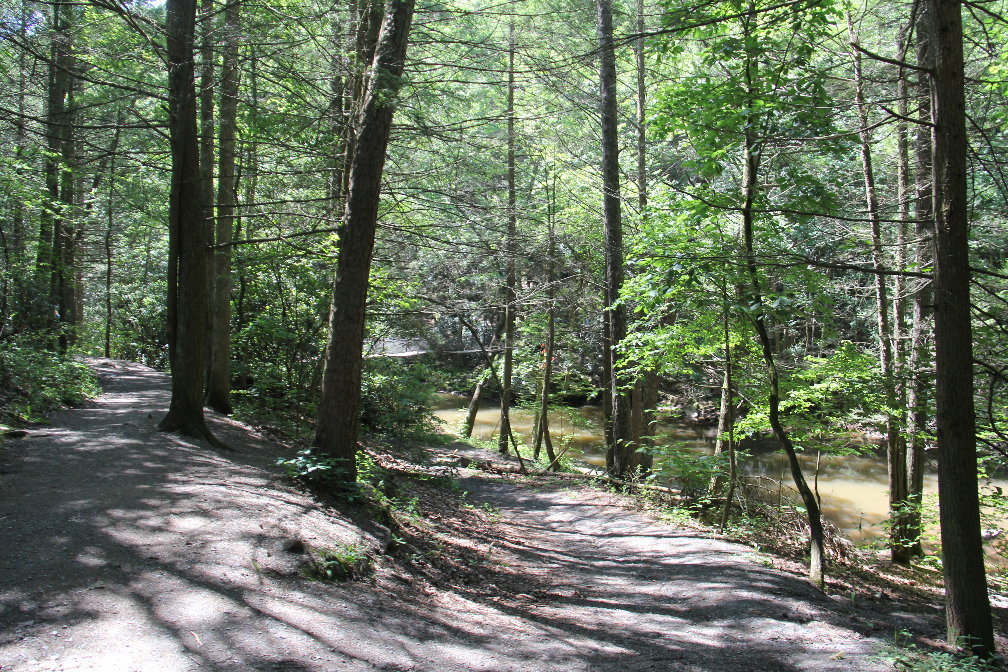 Trough Creek State Park
