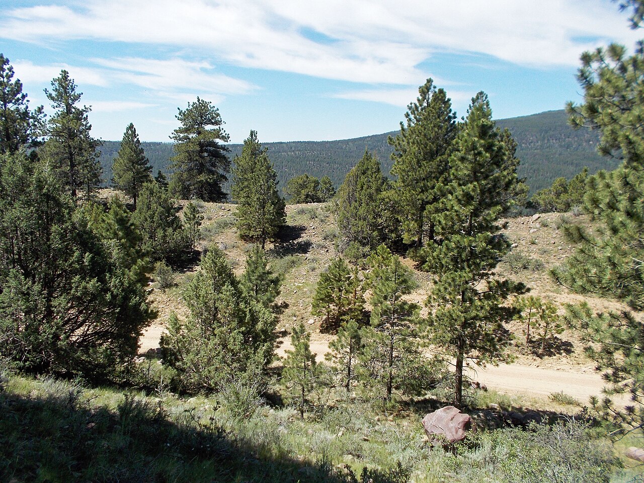 Uinta Canyon Campground