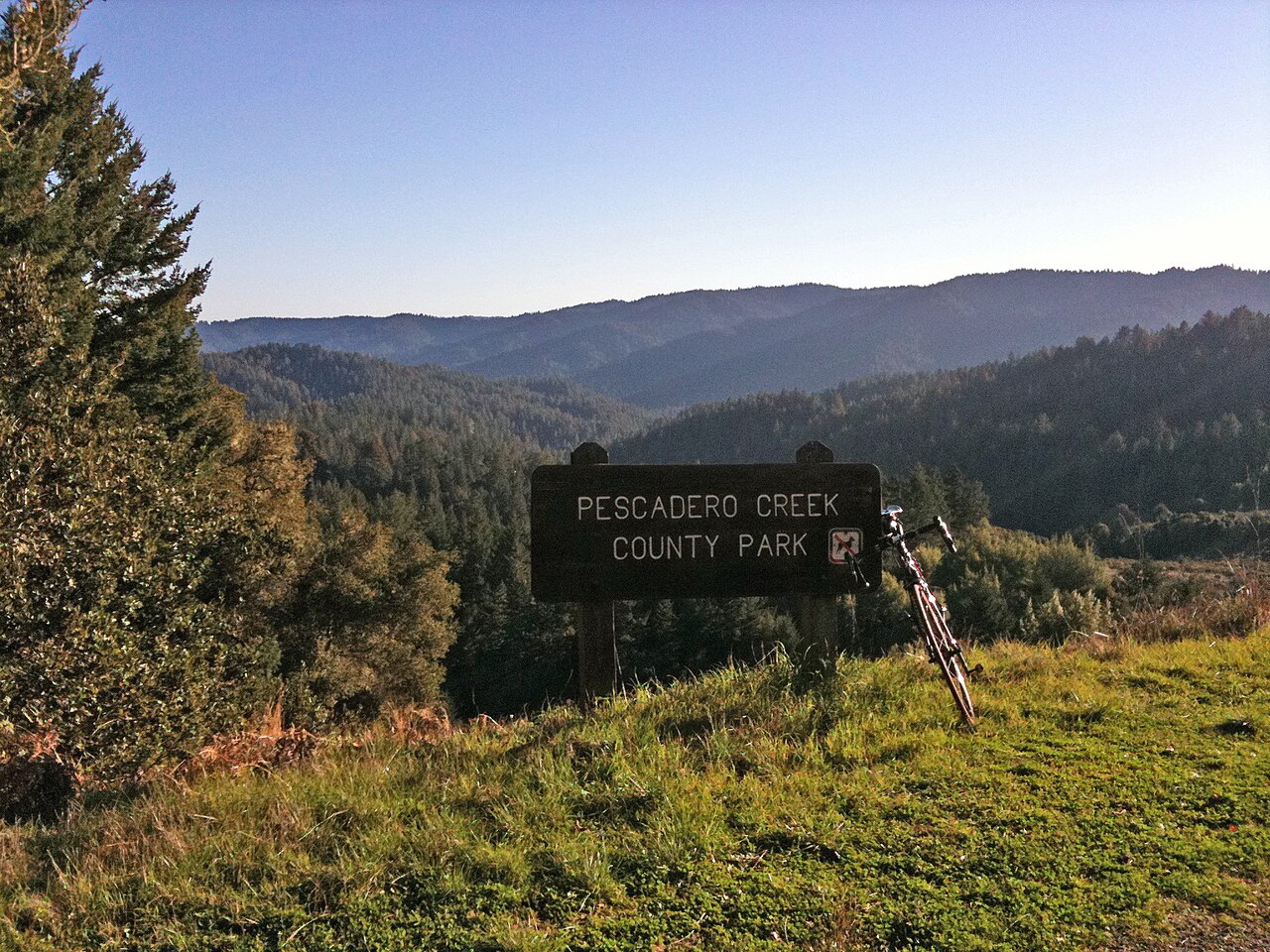 Memorial Park