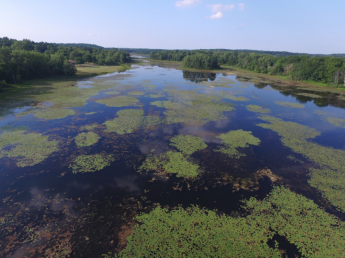 Brightonthree Fires Youth Organizational Camp