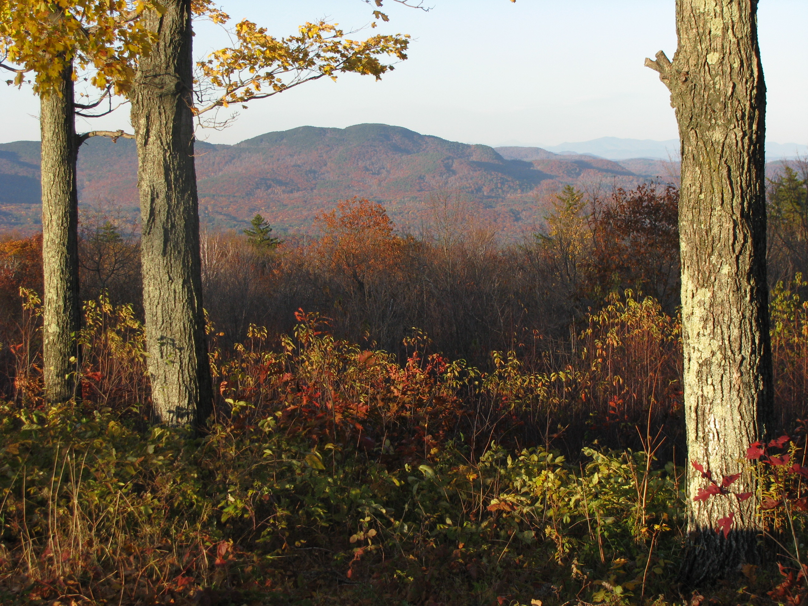 Winslow State Park