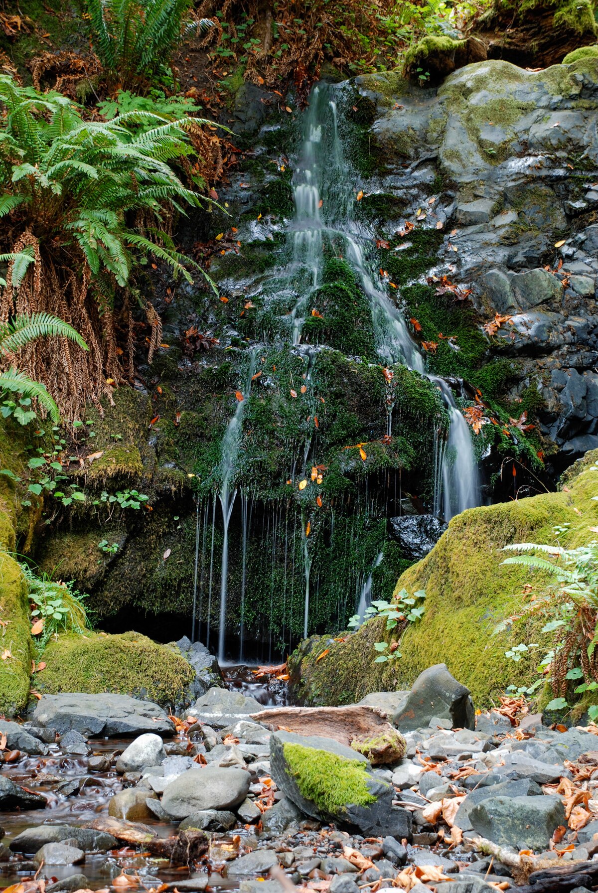 Lobster Creek Campground