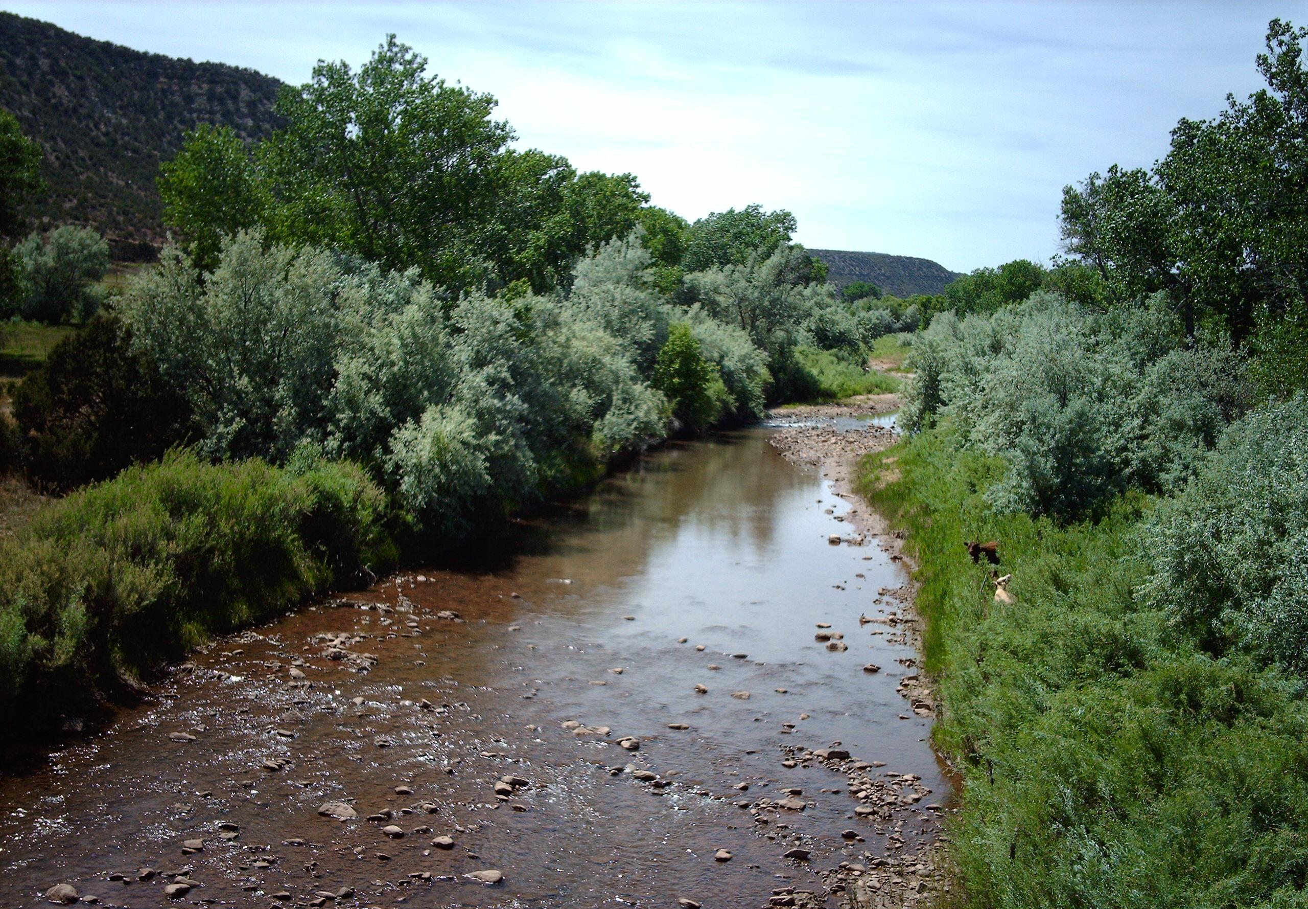 Wikimedia Commons