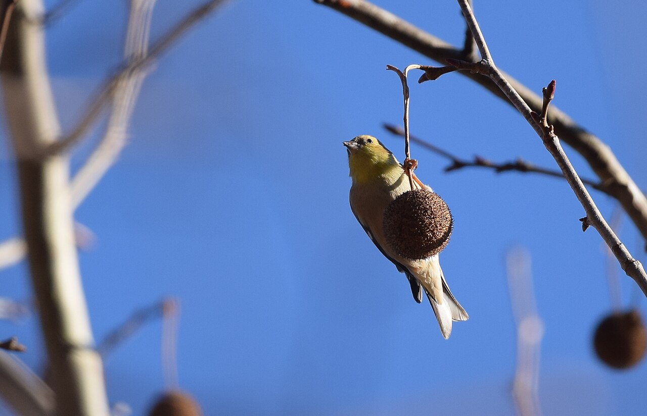 Special Use Campground