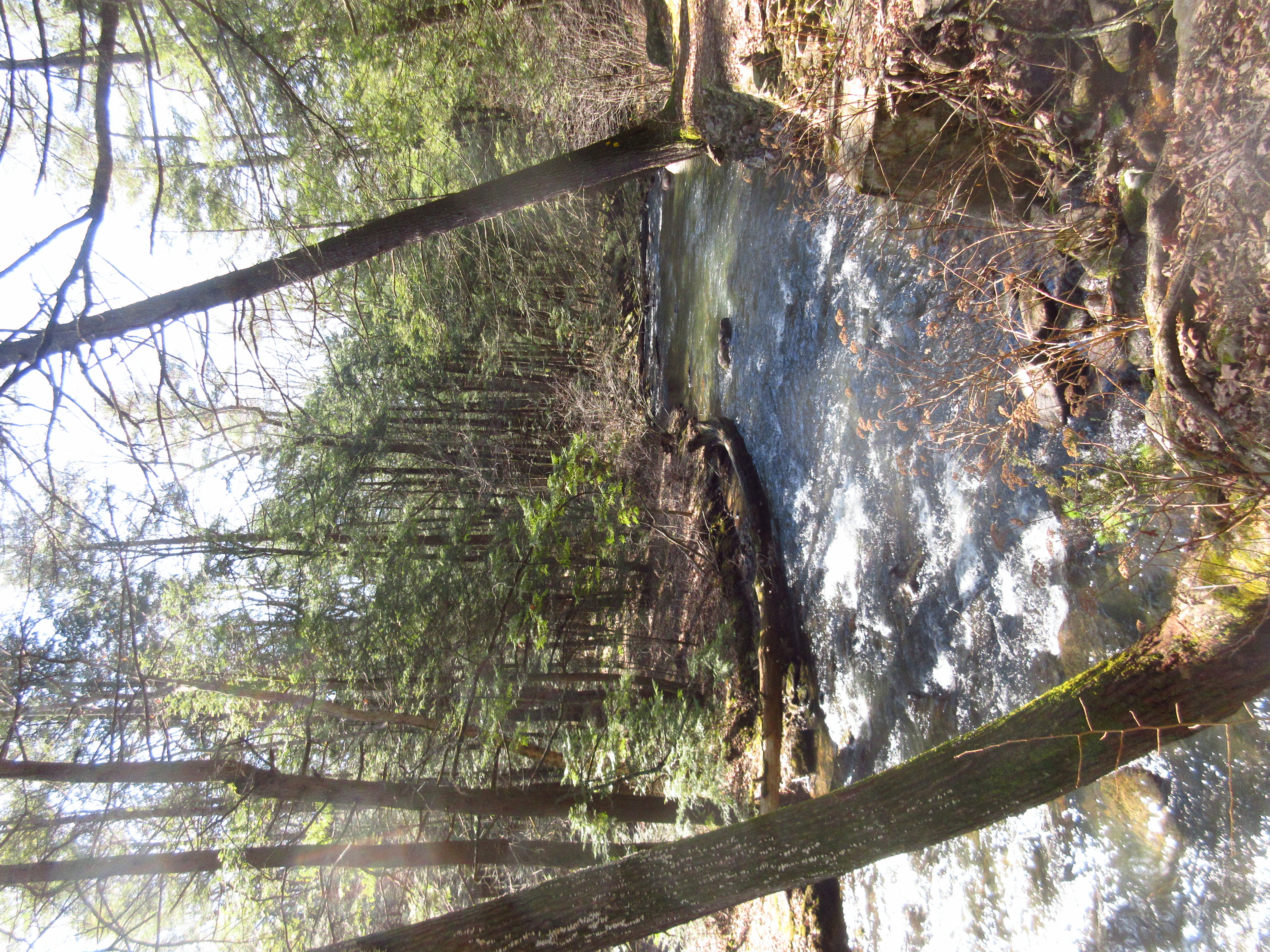 Reeds Gap State Park